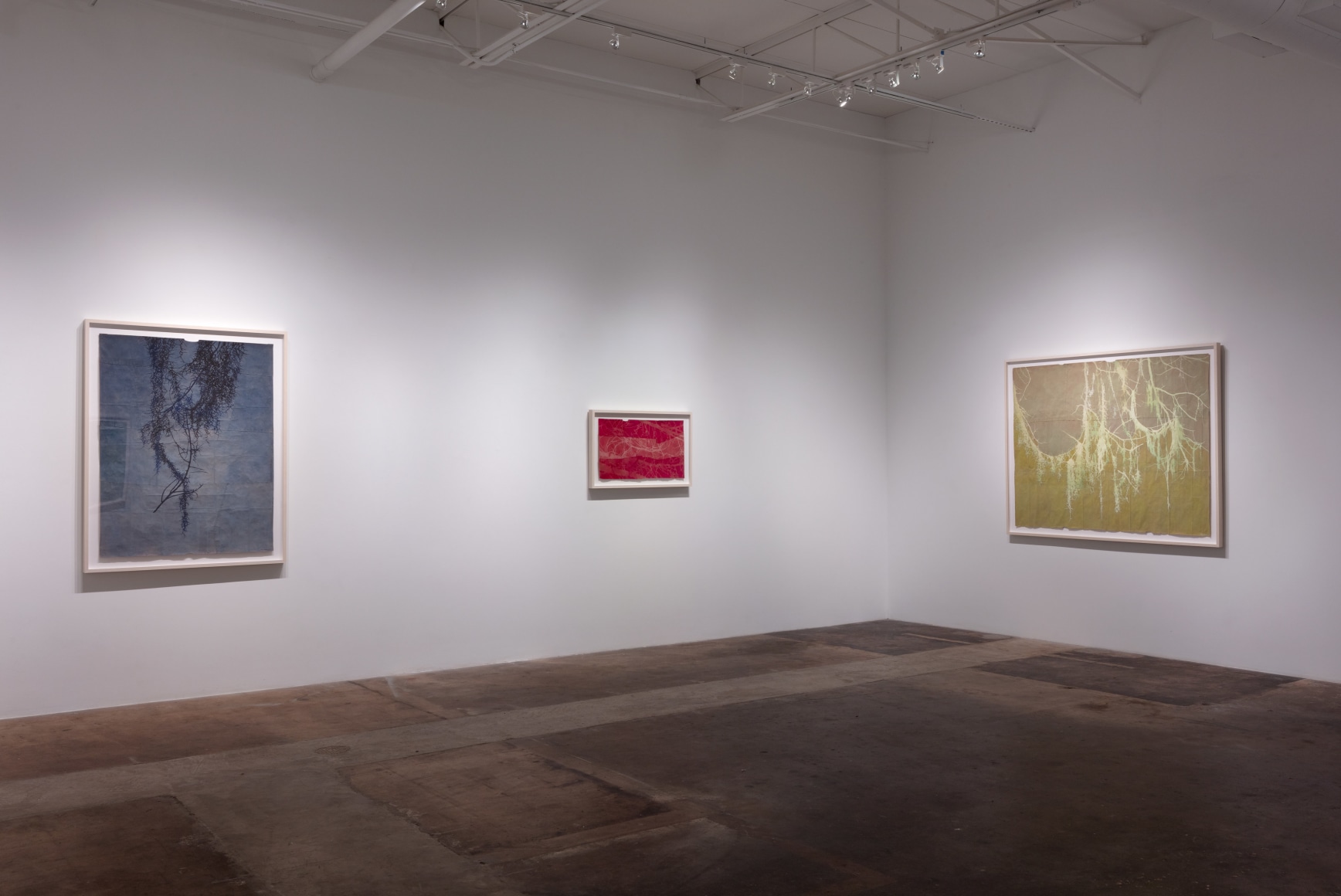 Maysey Craddock | Soil and Sea, April 11 - June 13, 2020