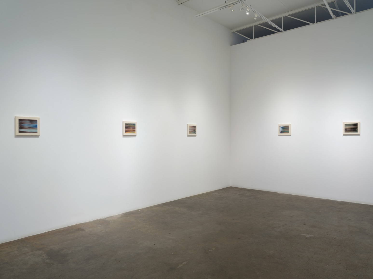 Richard Patterson, Nature Paintings