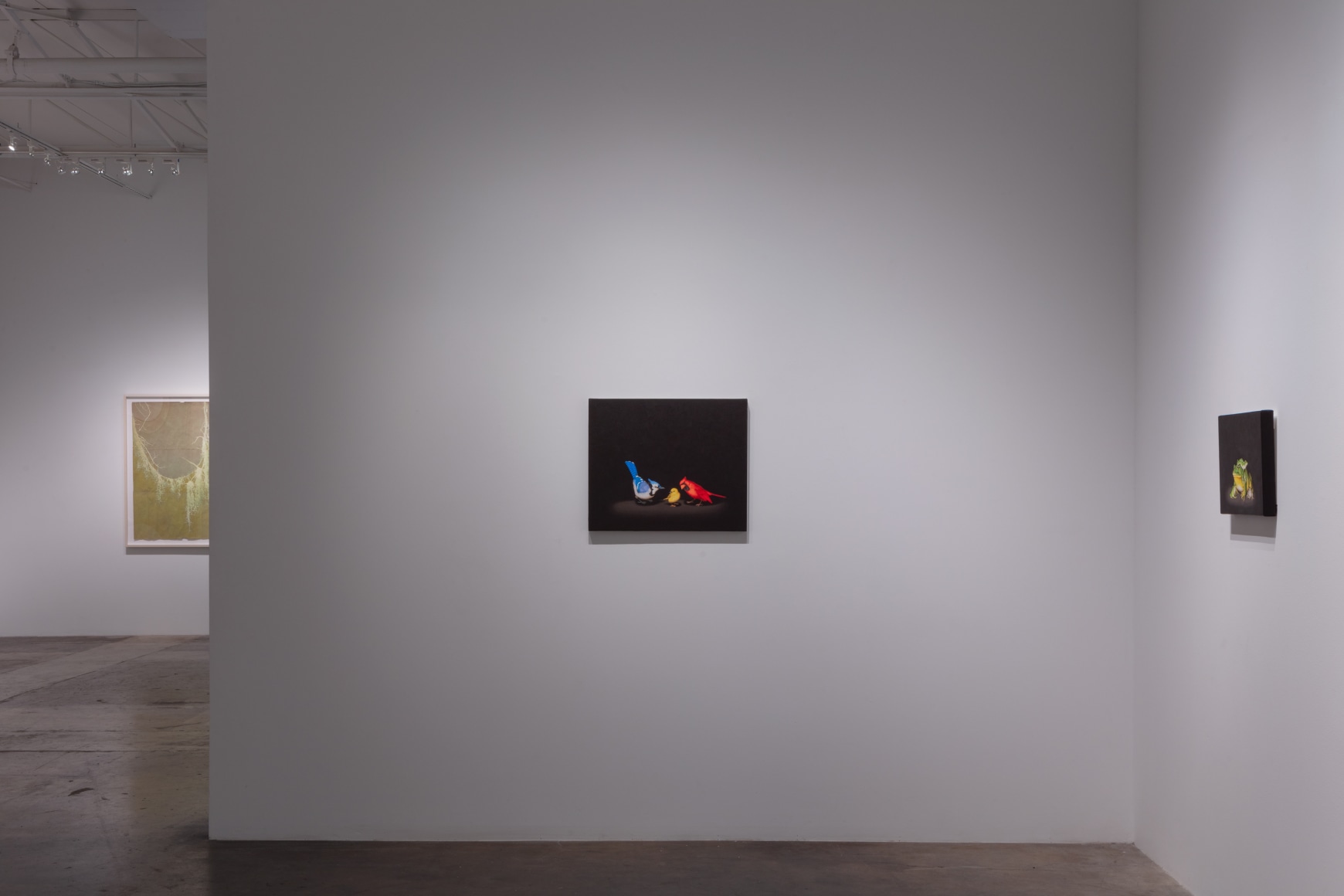 Isabelle du Toit | Diversity, April 11 - June 13, 2020