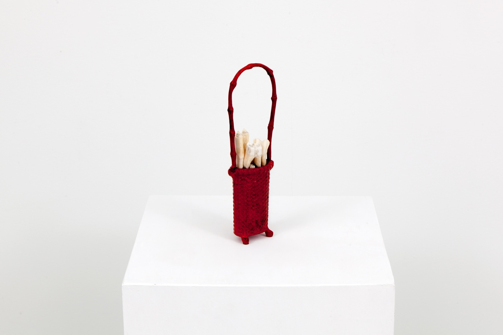 Celia Eberle, Basket, 2012