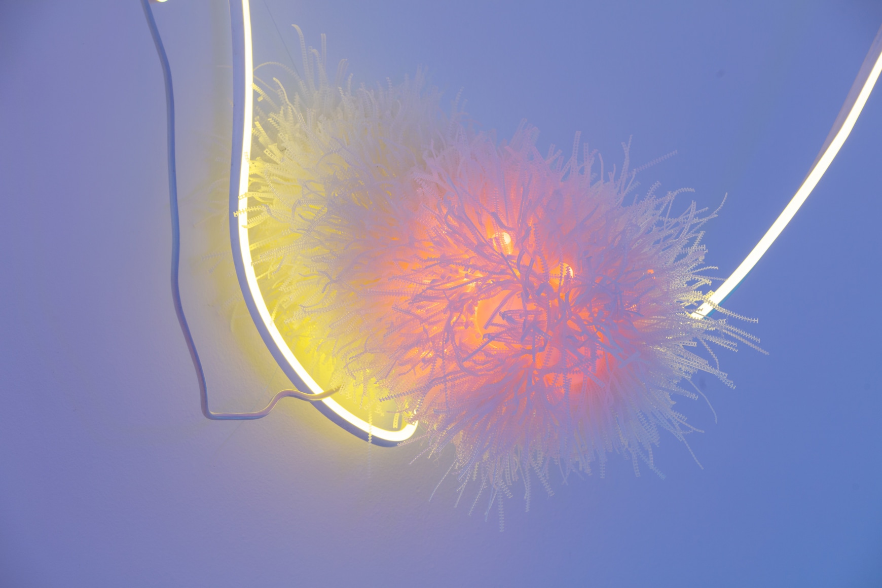 Cris-Worley-Fine-Arts-Gallery-Dallas-Texas-Adela-Andea