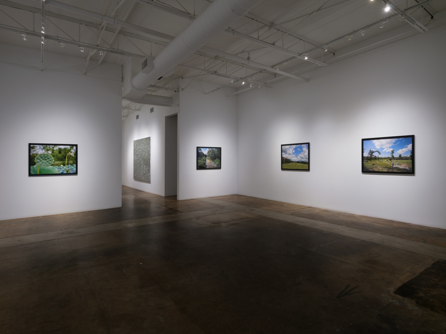 Alan Govenar | Always Beginning. Never Ending., January 11 &ndash; February 15, 2025