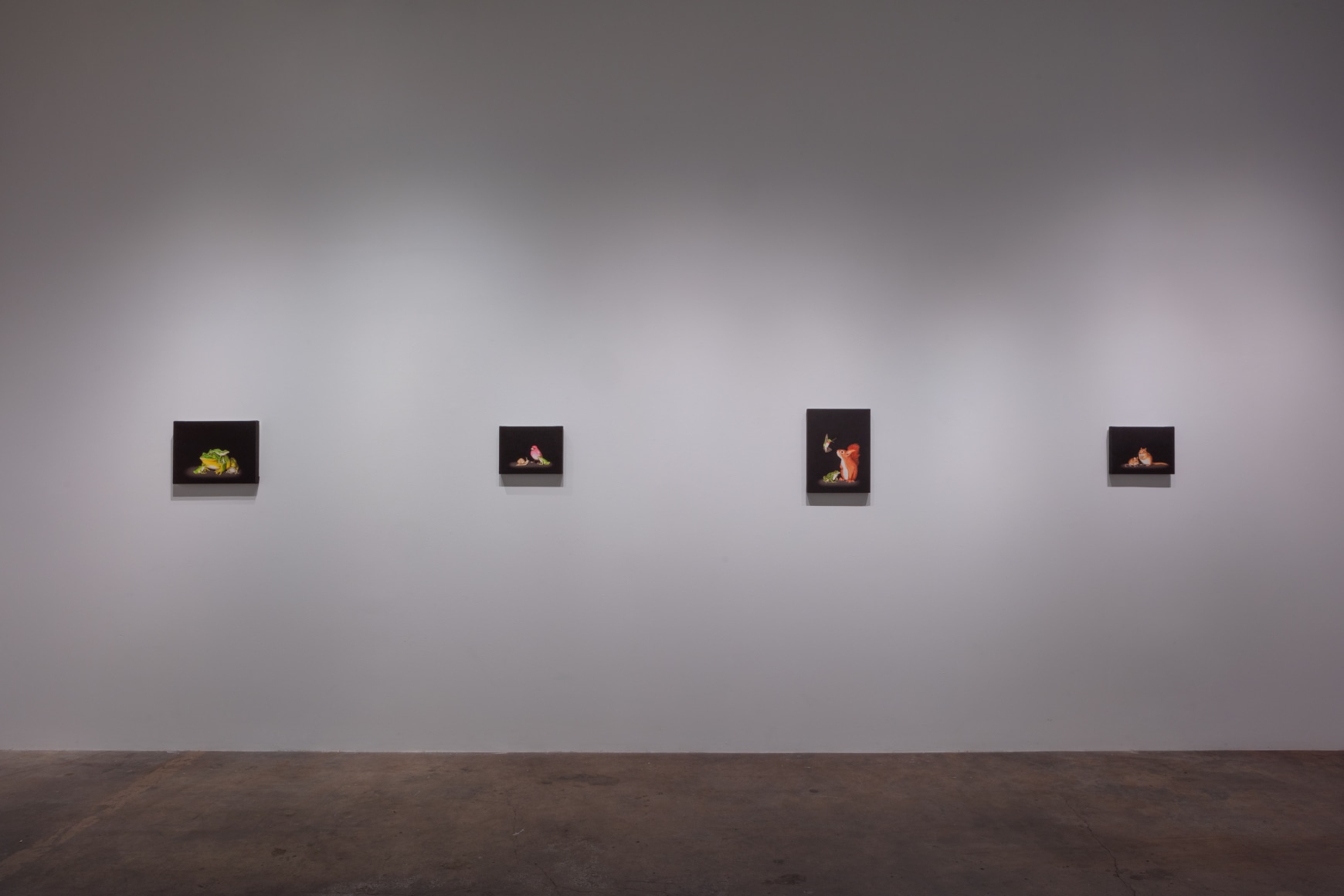 Isabelle du Toit | Diversity, April 11 - June 13, 2020