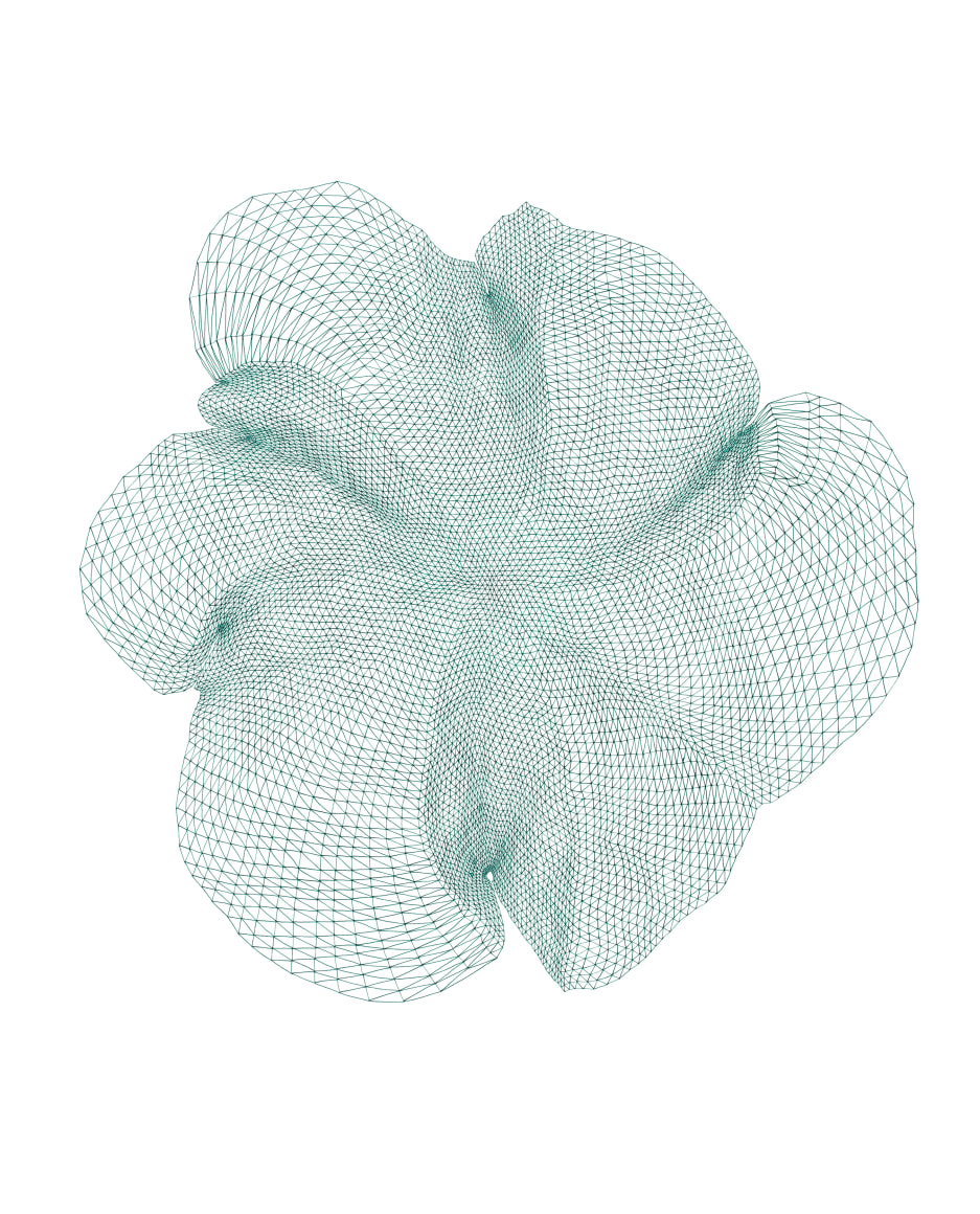 Robert Lansden, Light Through the Leaves, 2015