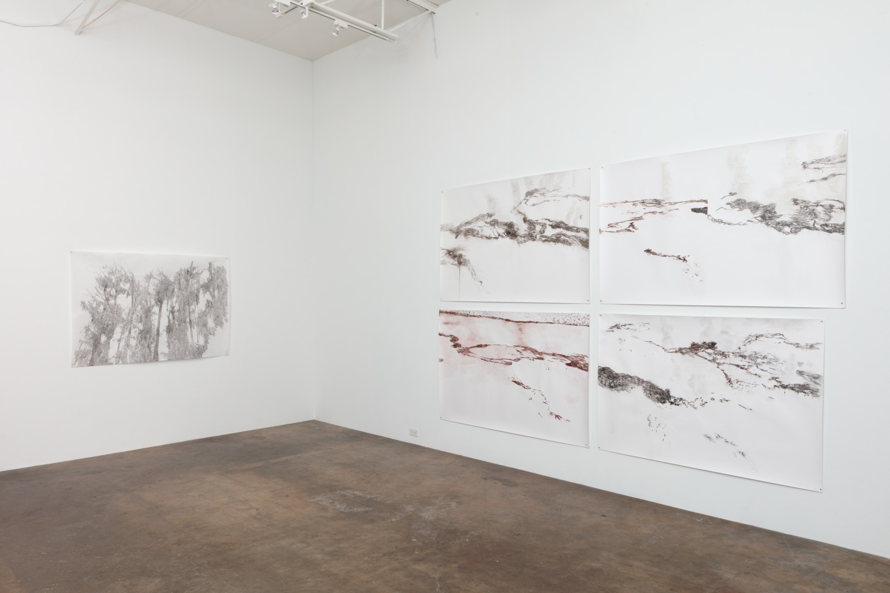 Anne Allen: Beach Salad &hellip;and Other Watery Adventures October 13 &ndash; November 10, 2018