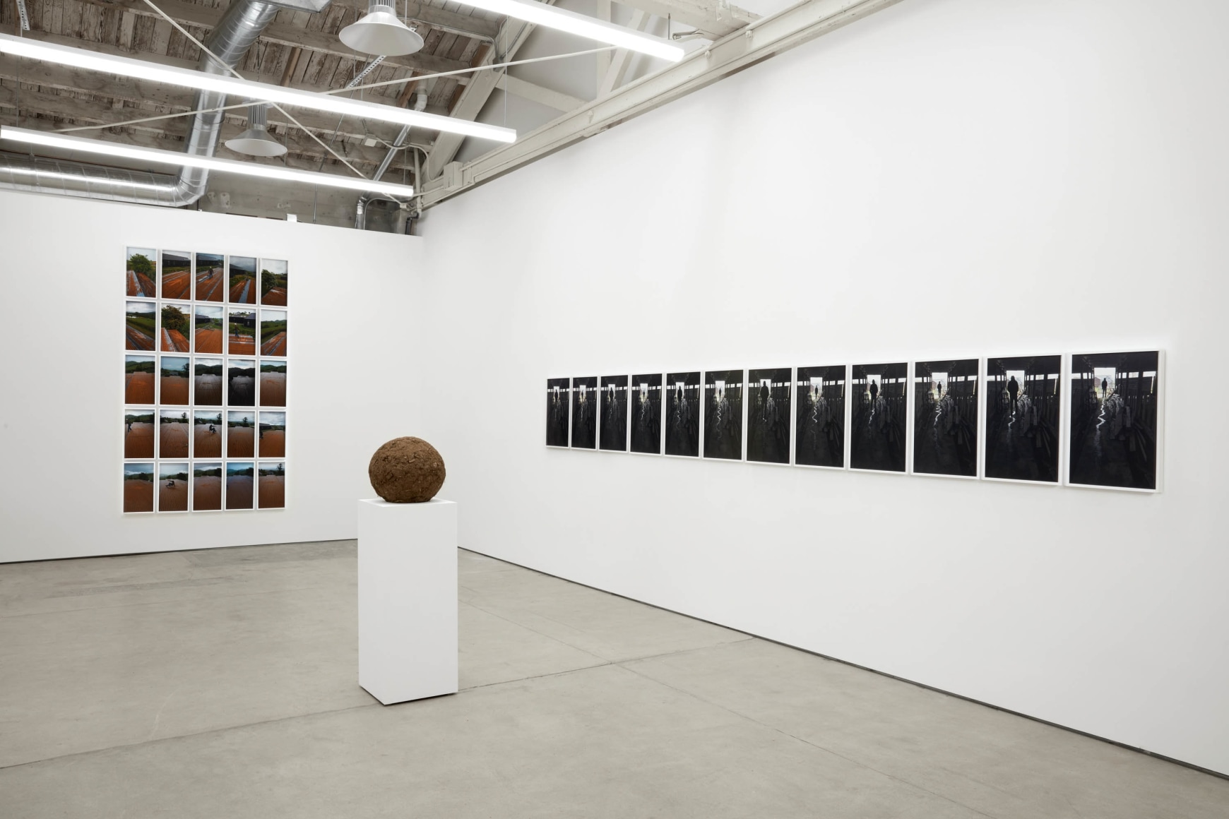 Andy Goldsworthy, Recent Works 2020, 2020
