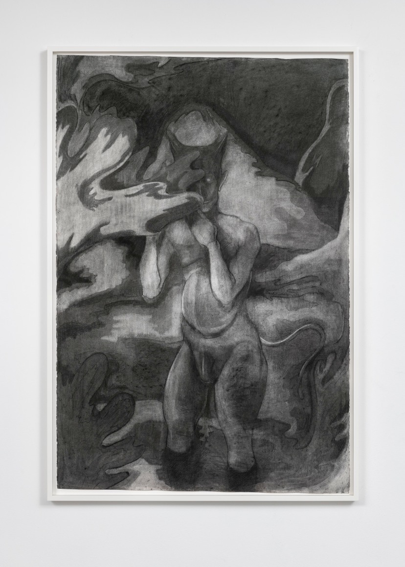 The Low Frequency Shade Broadcasted By A Donestre Towards The Story of The Altrightland in The Age of Monster, 2019, Charcoal on Arches watercolor paper