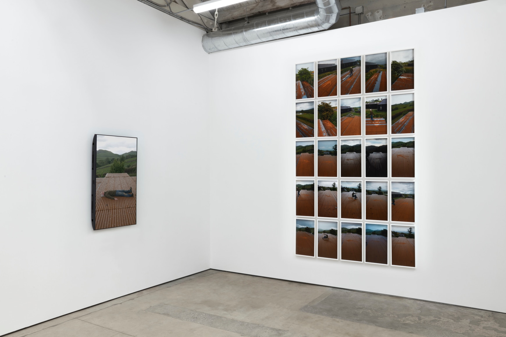 Andy Goldsworthy, Recent Works 2020, 2020