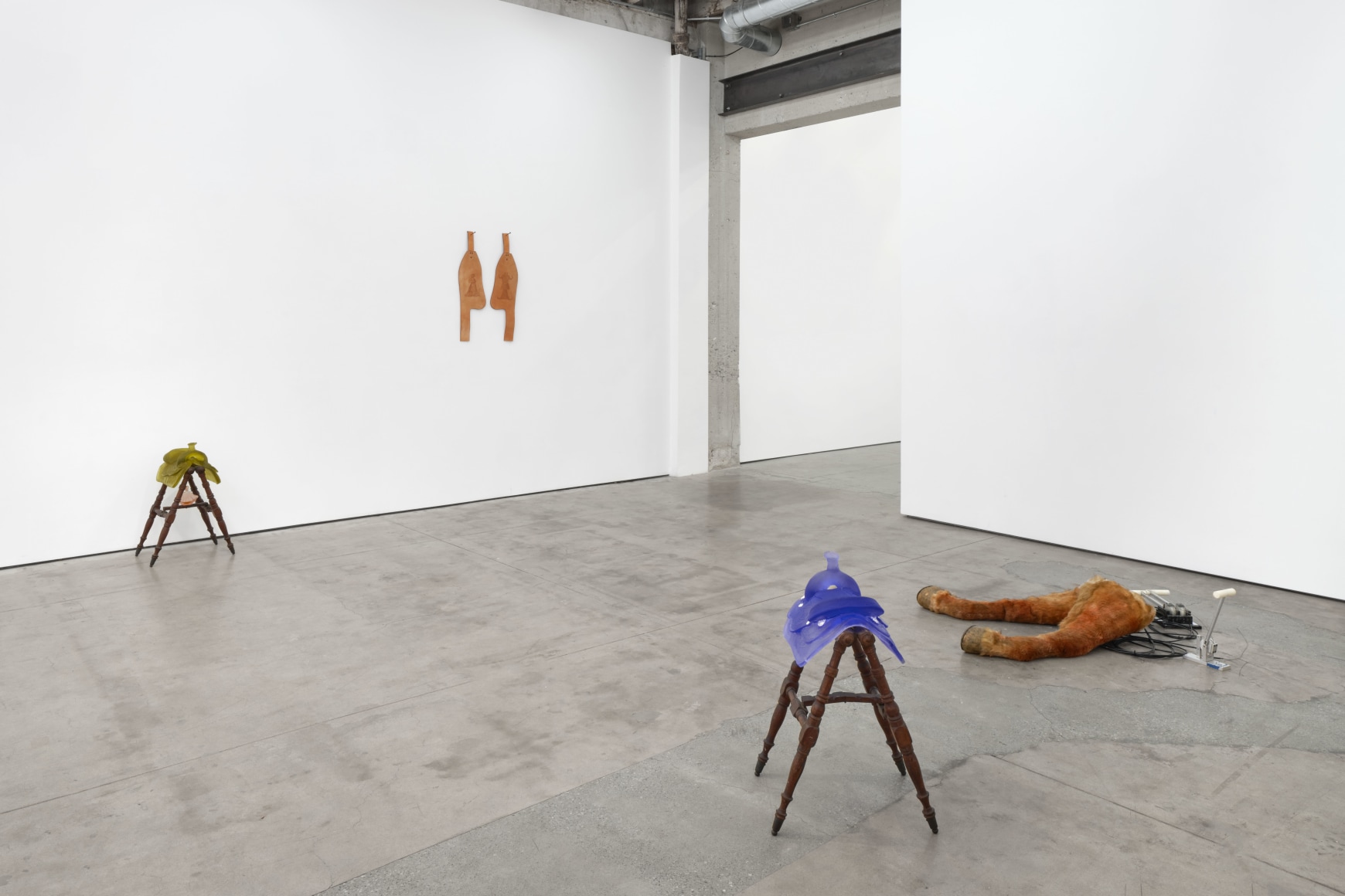 Sula Bermúdez-Silverman, Ichthyocentaur, Matthew Brown, Los Angeles, 2023. Installation view.