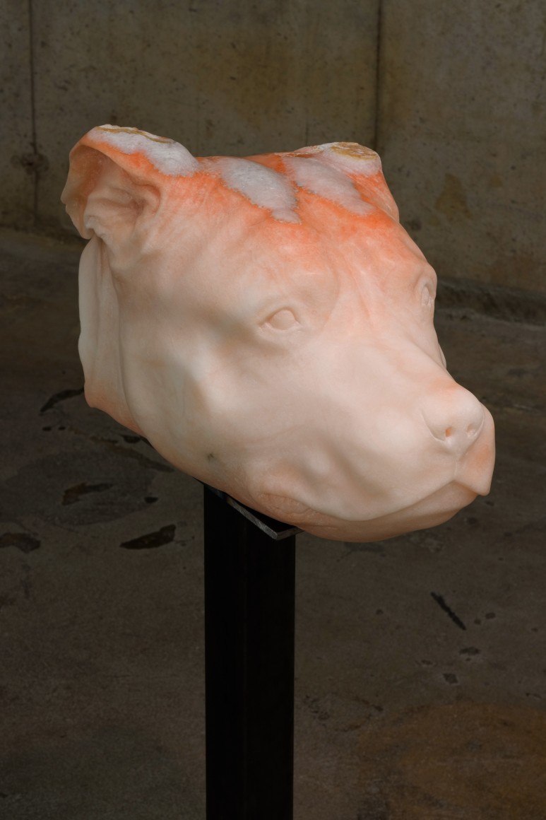 Fin Simonetti SLdump, 2017