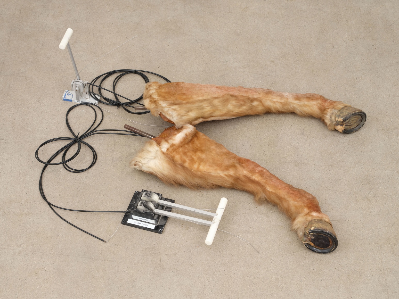 Sula Bermúdez-Silverman, La Siguanaba, 2023