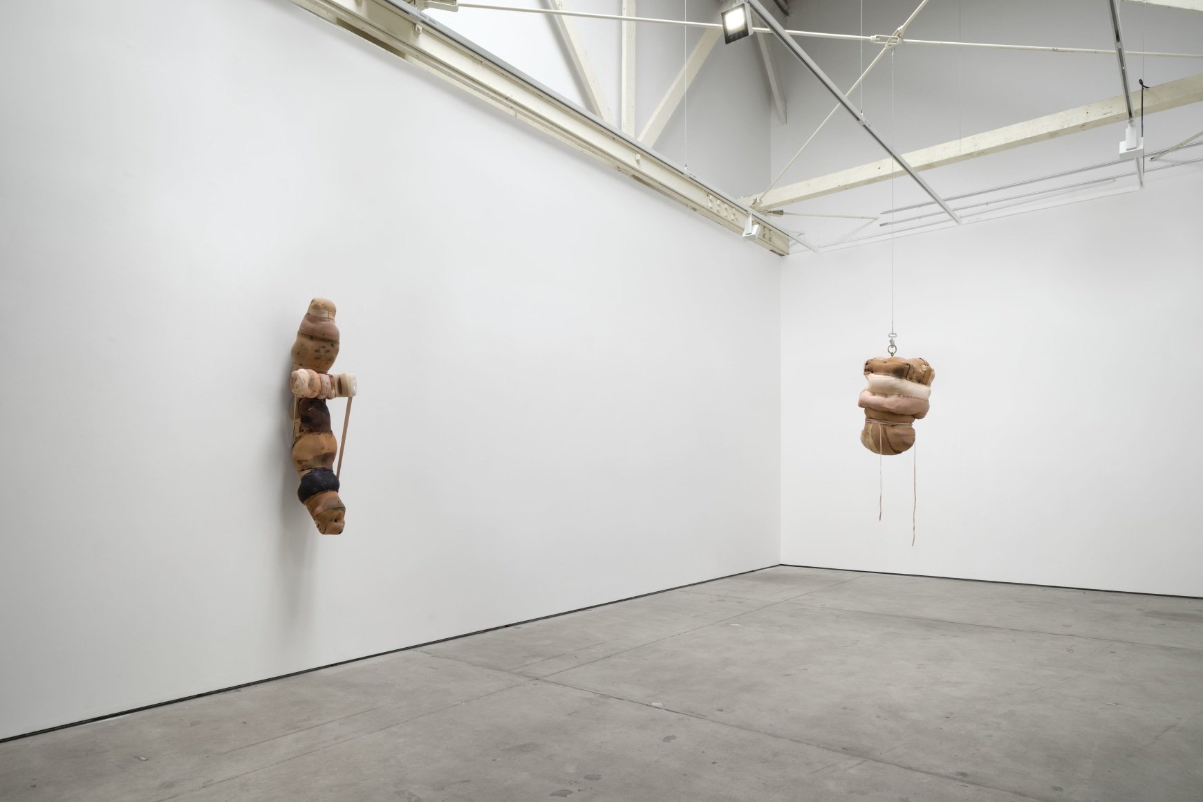 Patricia Ayres, Articles of the Estranged, Matthew Brown, Los Angeles, 2024. Installation view (photo: Paul Salveson). 
