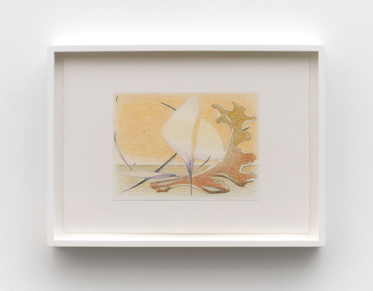 Julie Beaufils Coral, 2022