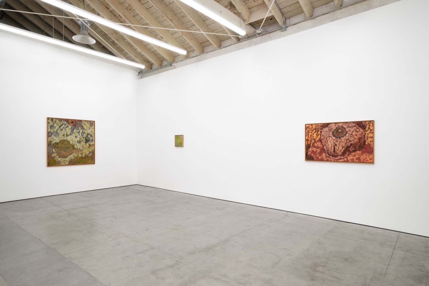 Tomas Leth,&nbsp;The Suns of Half Sleep,&nbsp;Matthew Brown, Los Angeles, 2023. Installation View.&nbsp;