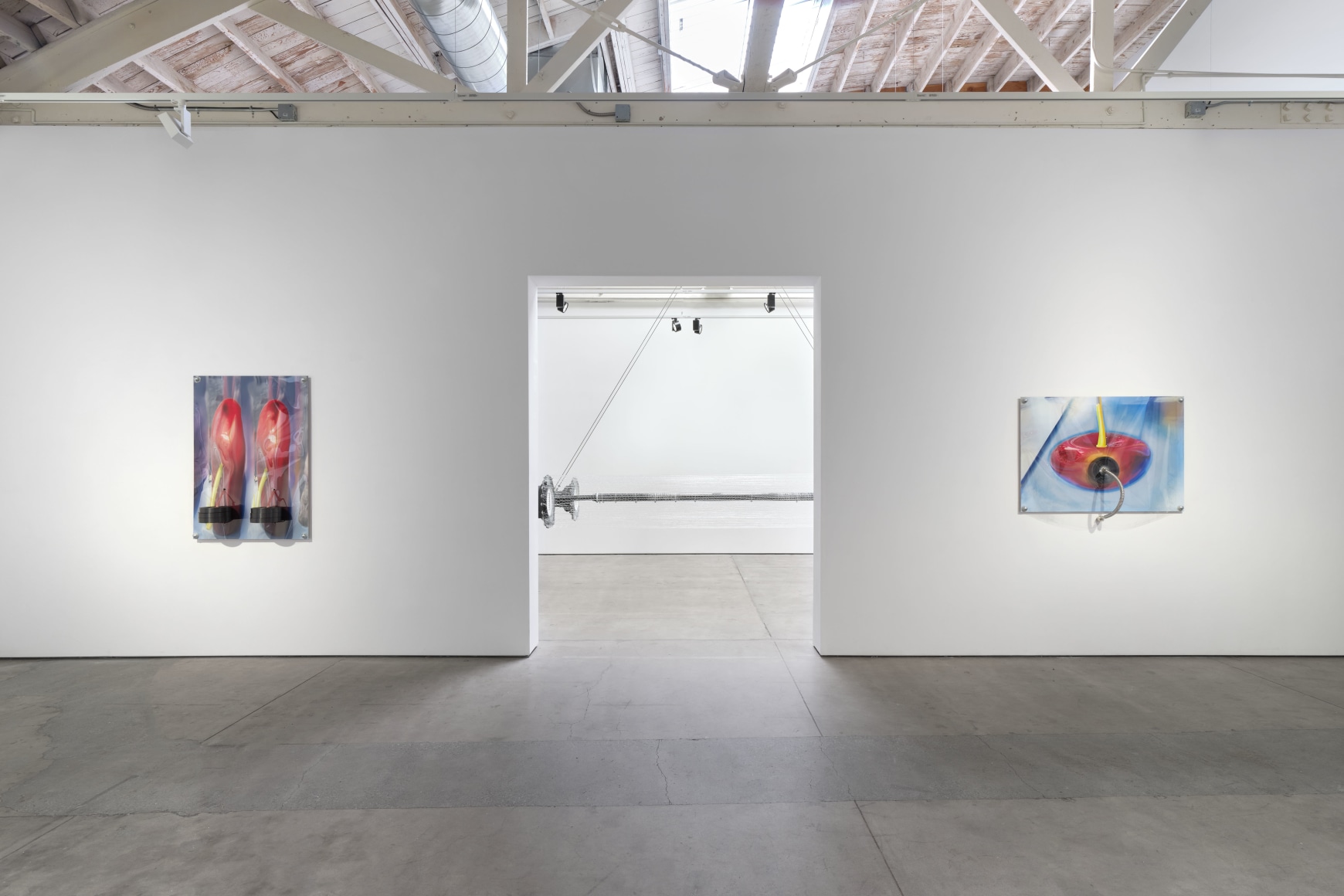 Jack O'Brien, Nectar, Matthew Brown, Los Angeles, 2024. Installation View., (Photo: Paul Salveson)