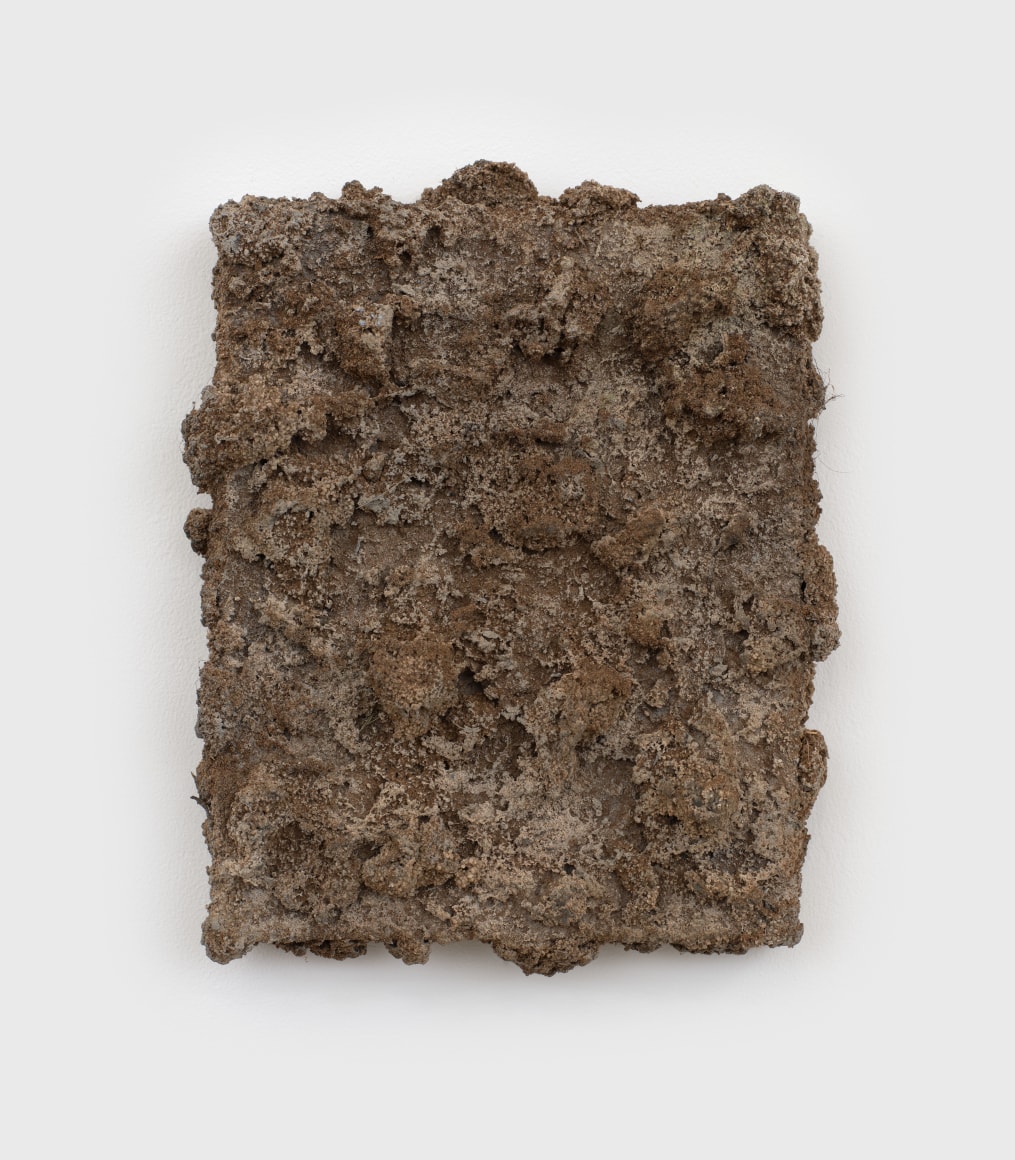 Alfonso Gonzalez Jr.