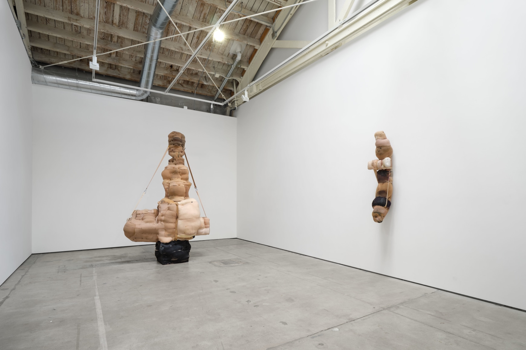 Patricia Ayres, Articles of the Estranged, Matthew Brown, Los Angeles, 2024. Installation view (photo: Paul Salveson). 