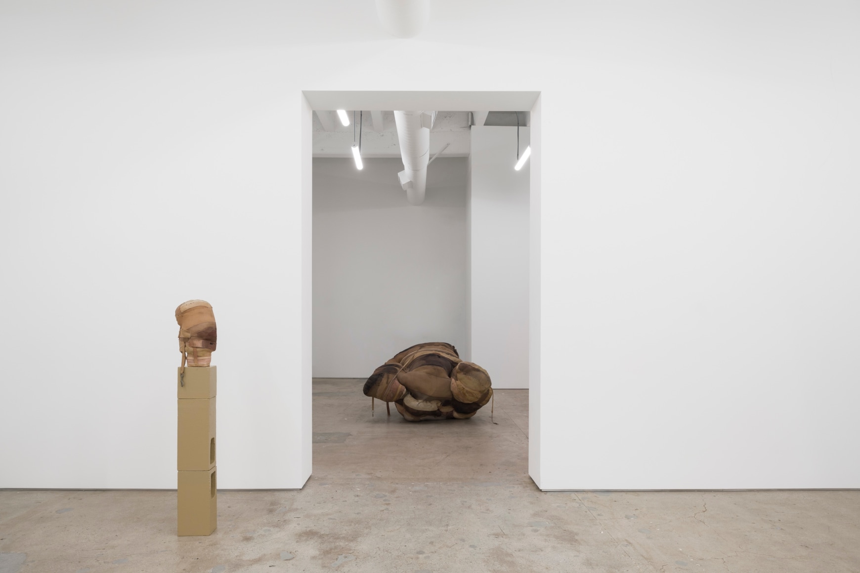 Patricia Ayres, Bound, 2021. Installation view