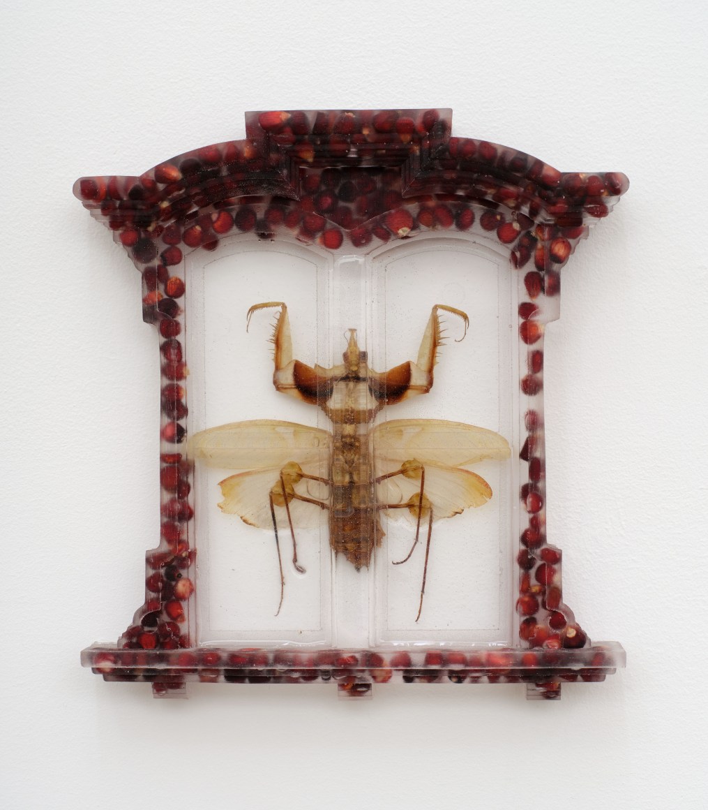 Sula Bermúdez-Silverman, De Monstris, 2023