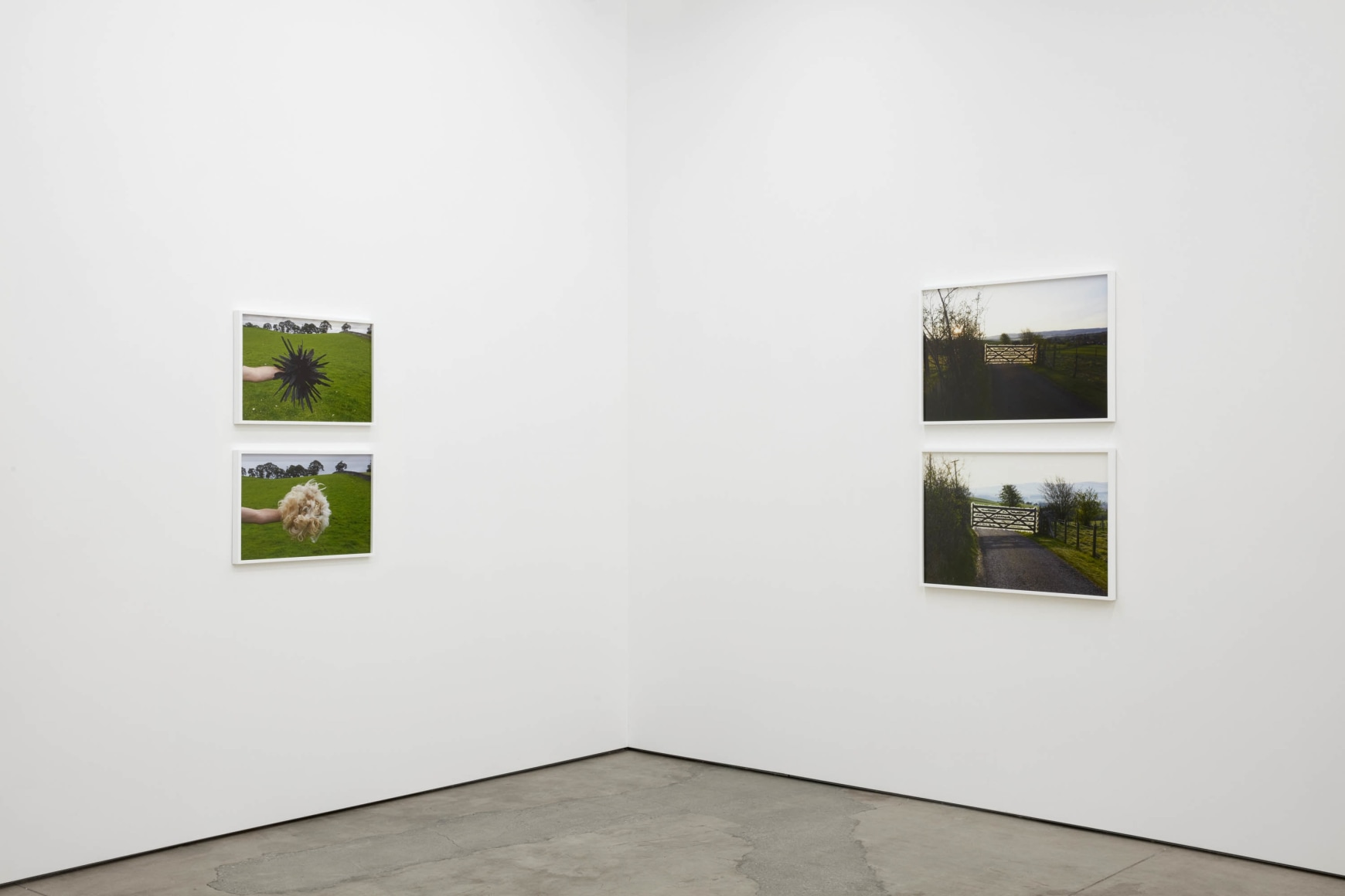 Andy Goldsworthy, Recent Works 2020, 2020