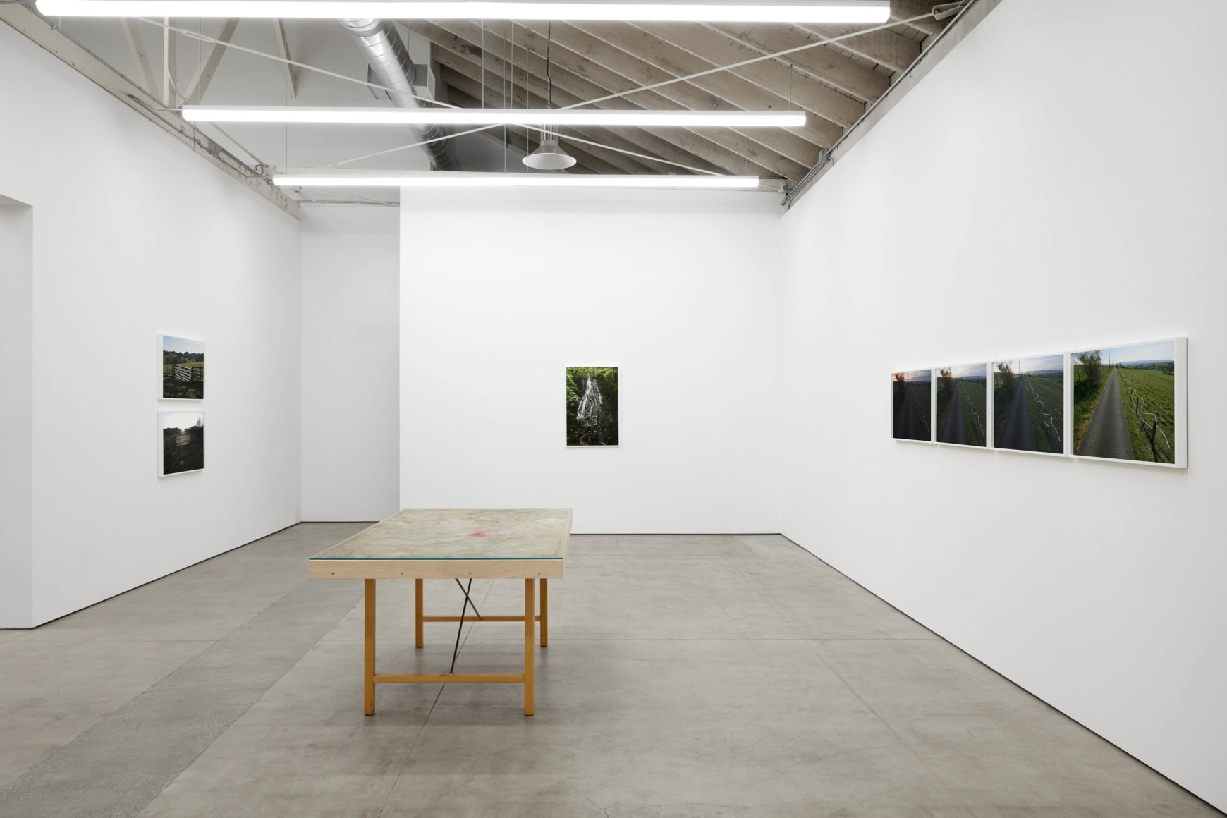 Andy Goldsworthy, Recent Works 2020, 2020