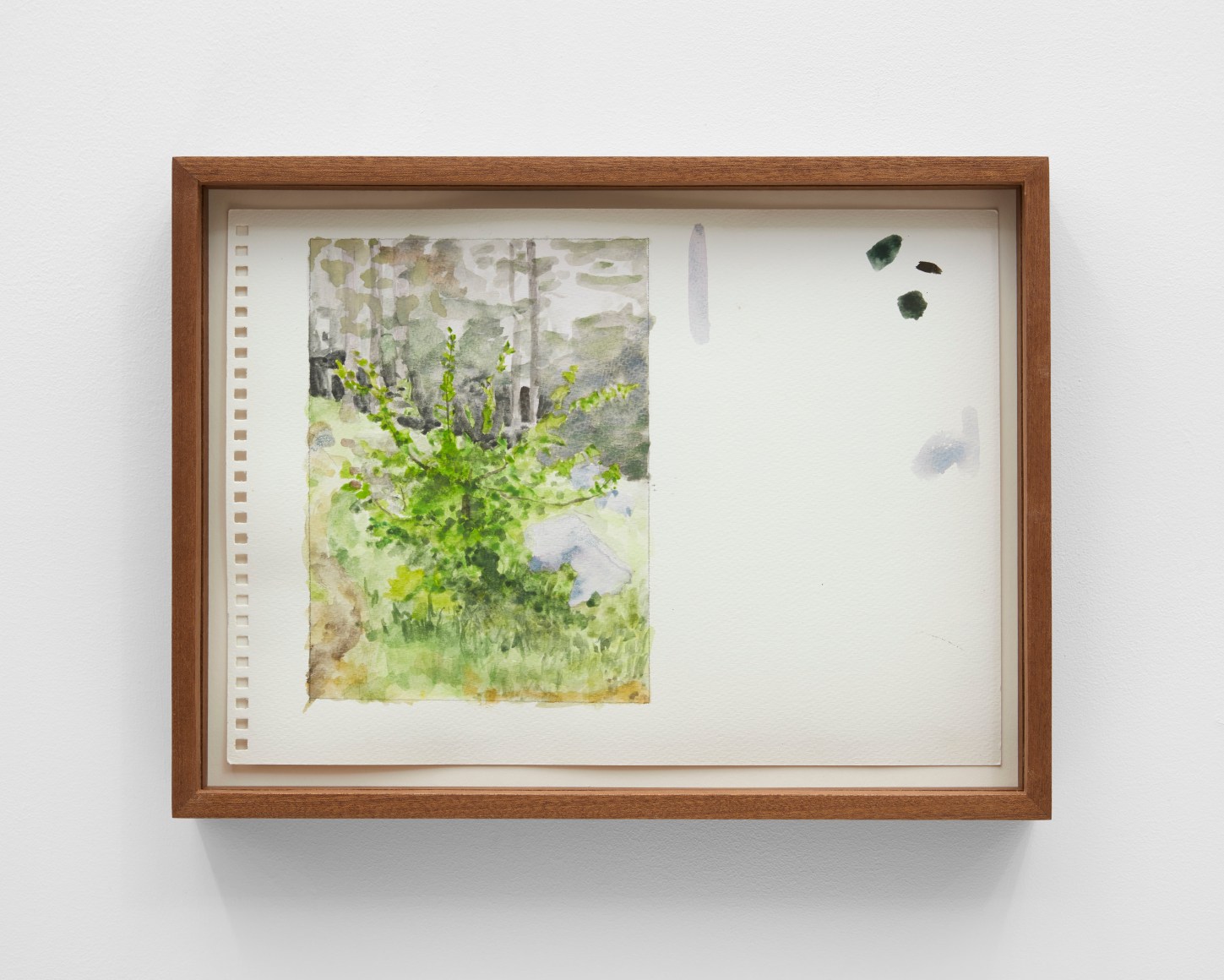 Apple tree behind the kitchen, Double Island, 2020, Watercolor on paper with artist frame