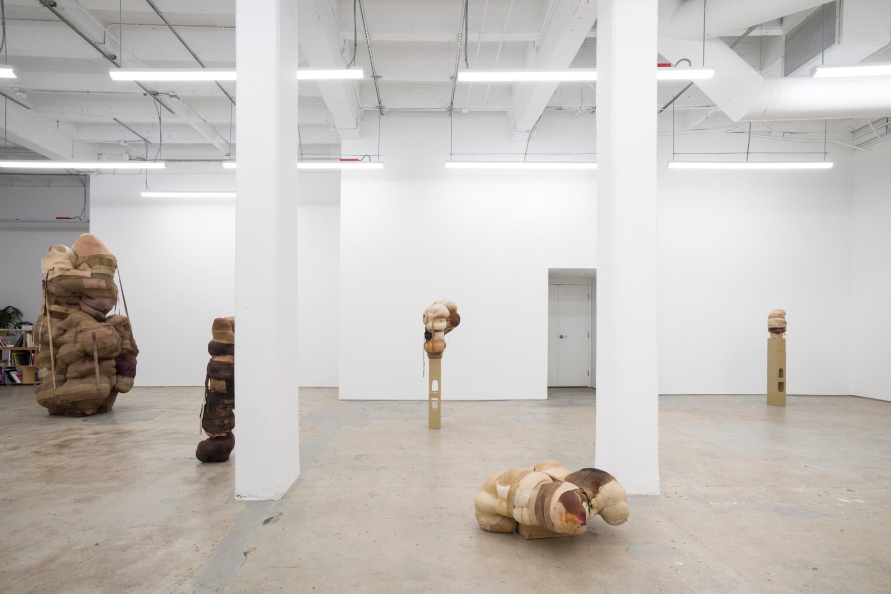 Patricia Ayres, Bound, 2021. Installation view