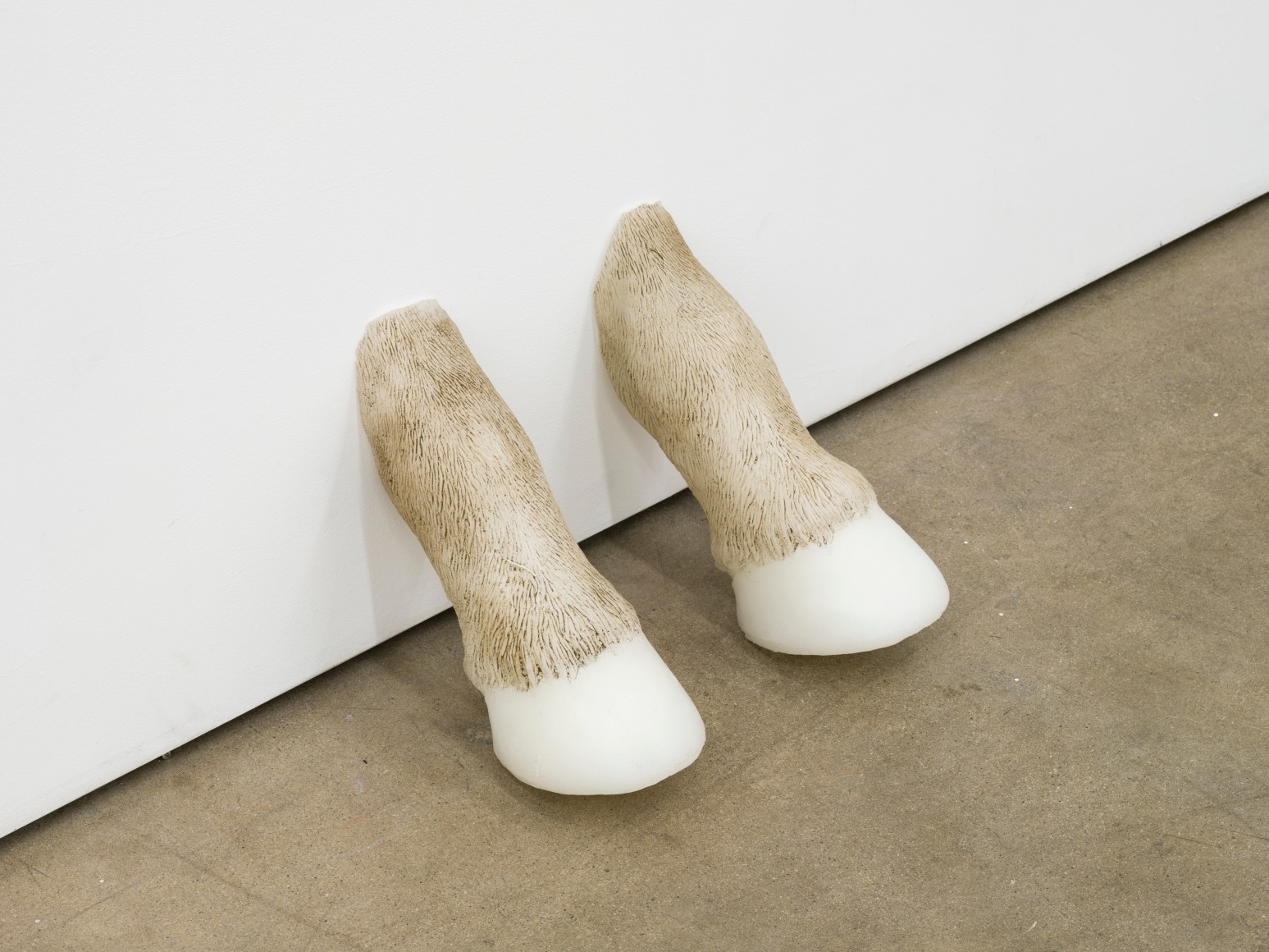 Sula Bermúdez-Silverman, Mooncalves, 2023