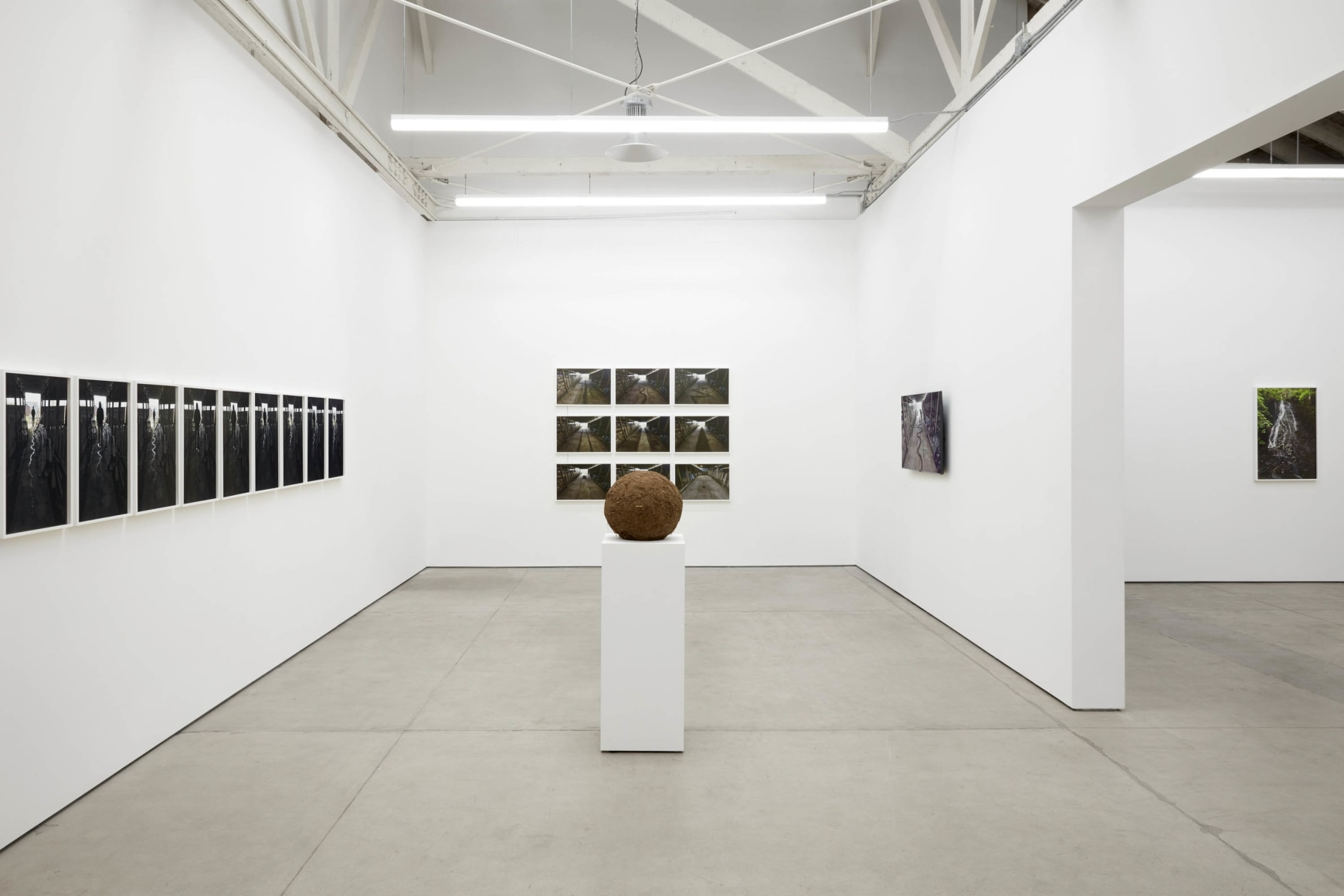 Andy Goldsworthy, Recent Works 2020, 2020