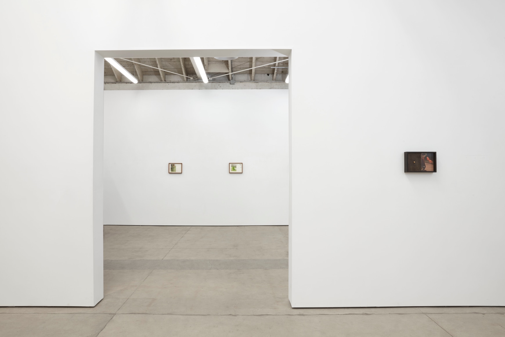 Fine As All Outdoors, 2020, Installation view