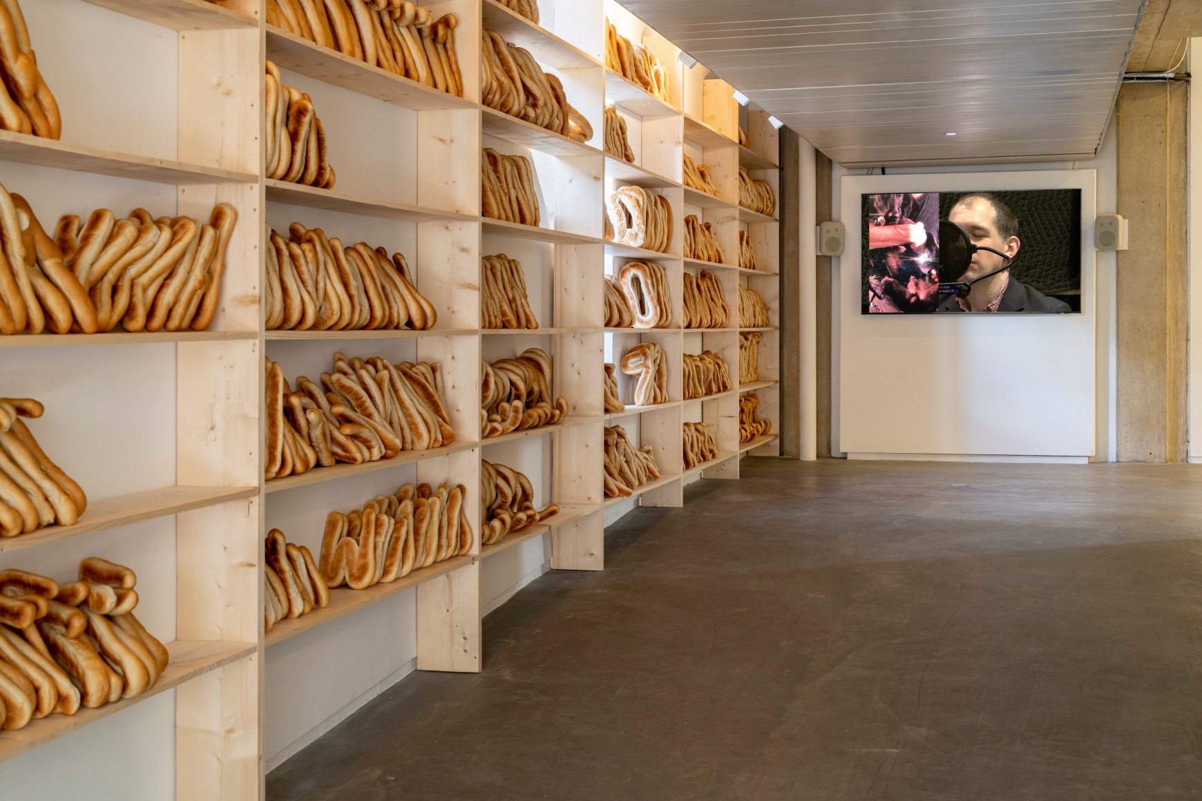 Uri Aran, Take This Dog For Example The Douglas Hyde Gallery, Dublin, Ireland, 2023. Installation view. 