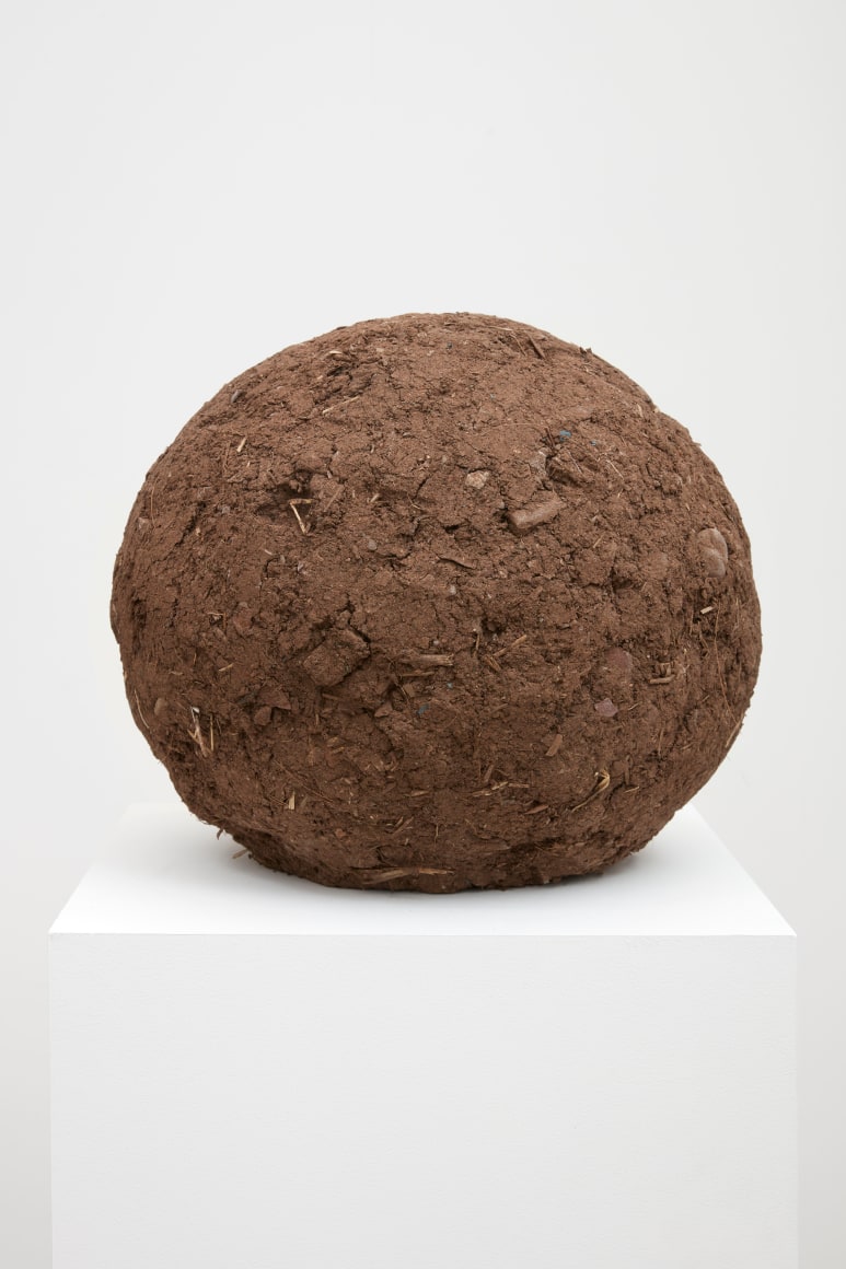 Andy Goldsworthy, Recent Works 2020, 2020