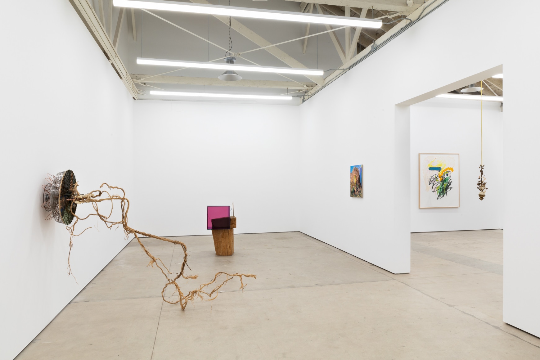 Installation view, That Land That I Live In