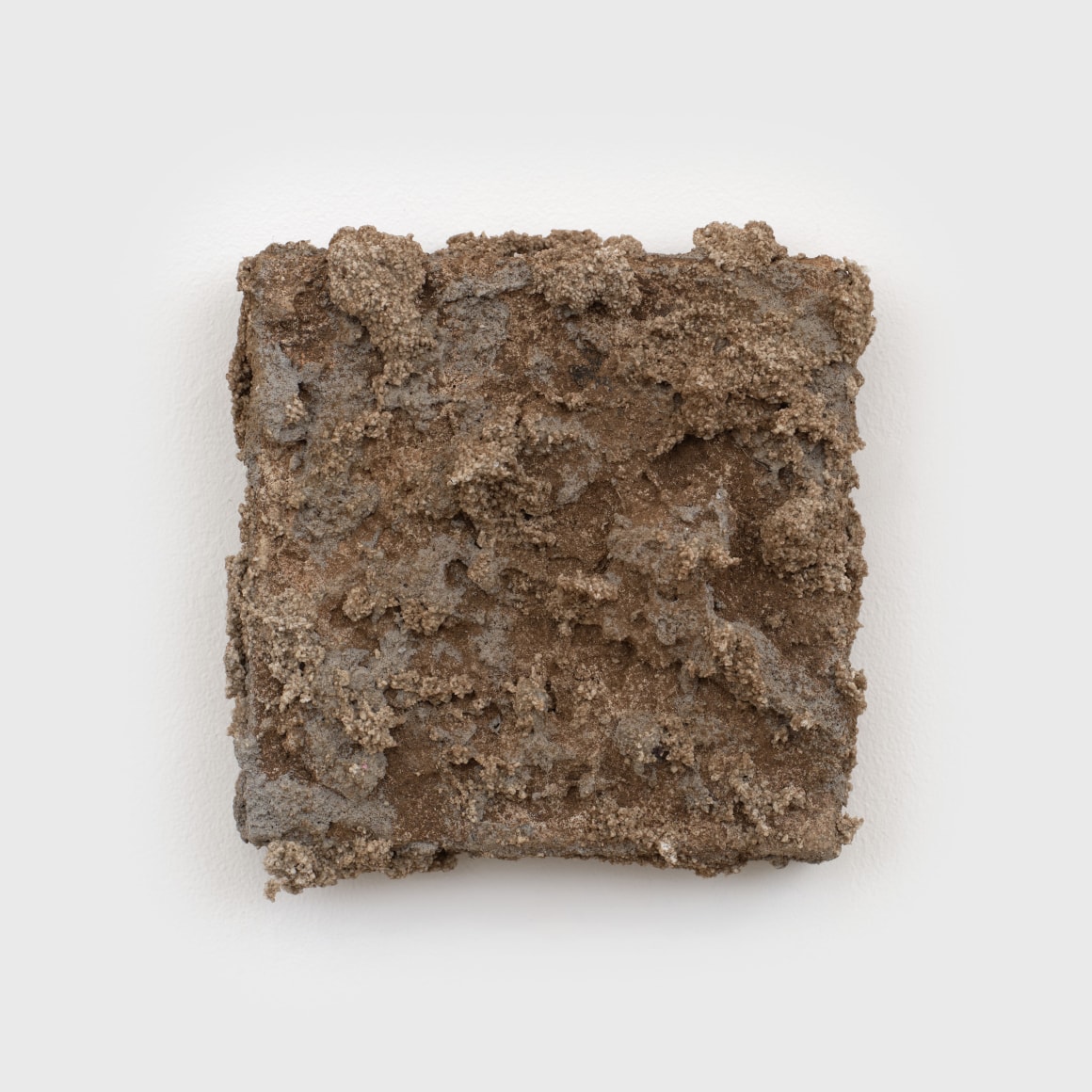 Alfonso Gonzalez Jr.