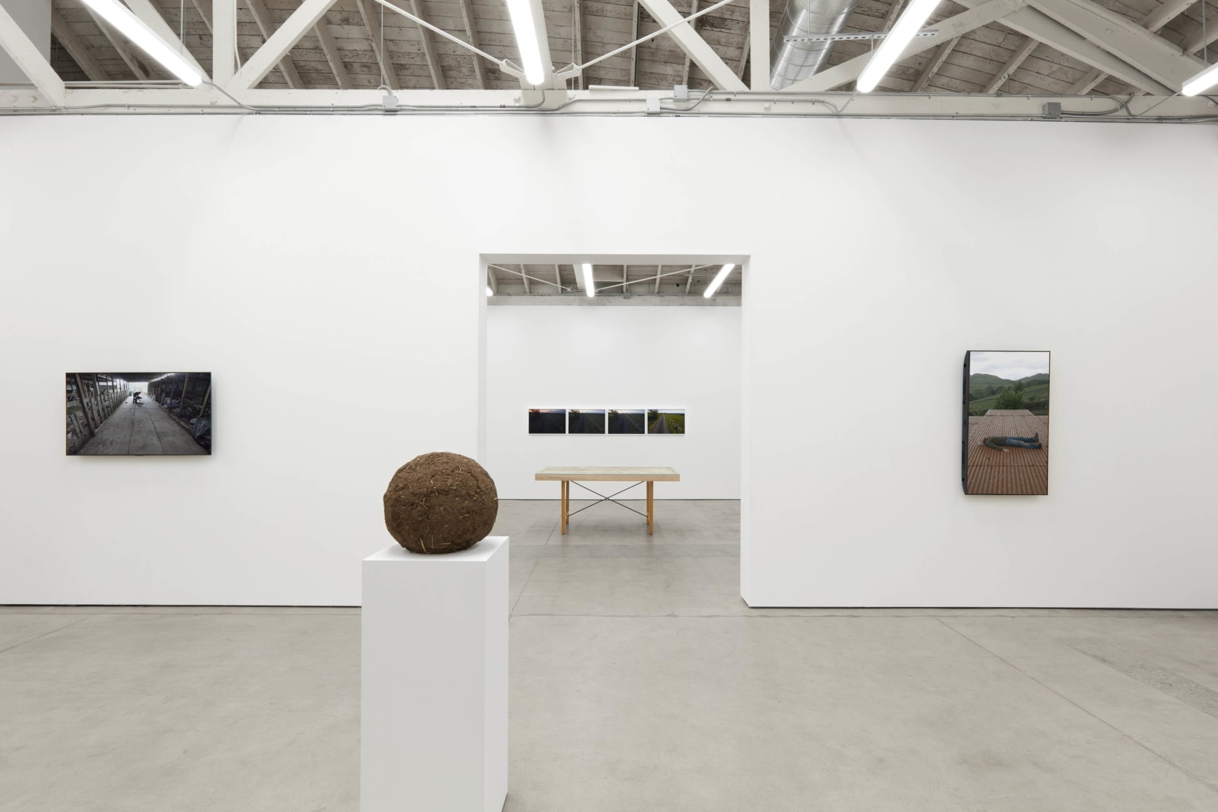 Andy Goldsworthy, Recent Works 2020, 2020