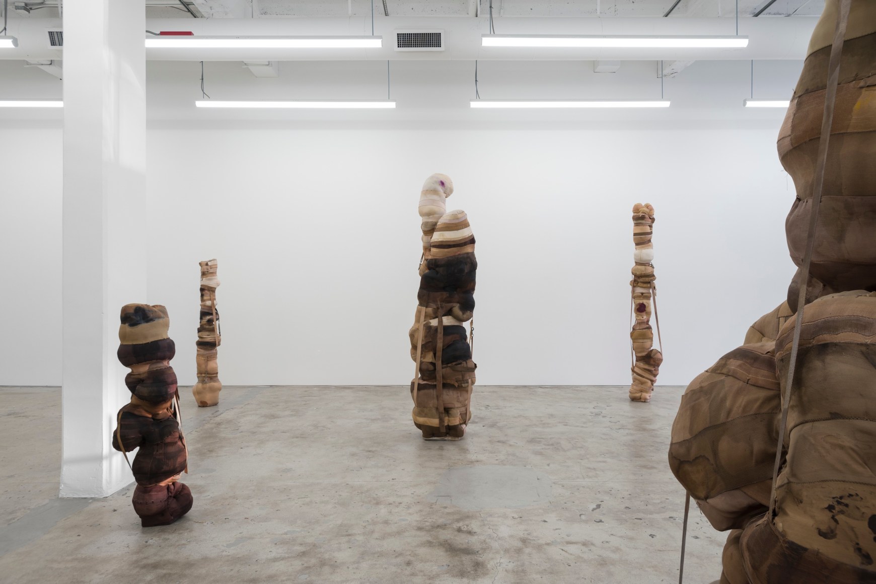 Patricia Ayres, Bound, 2021. Installation view
