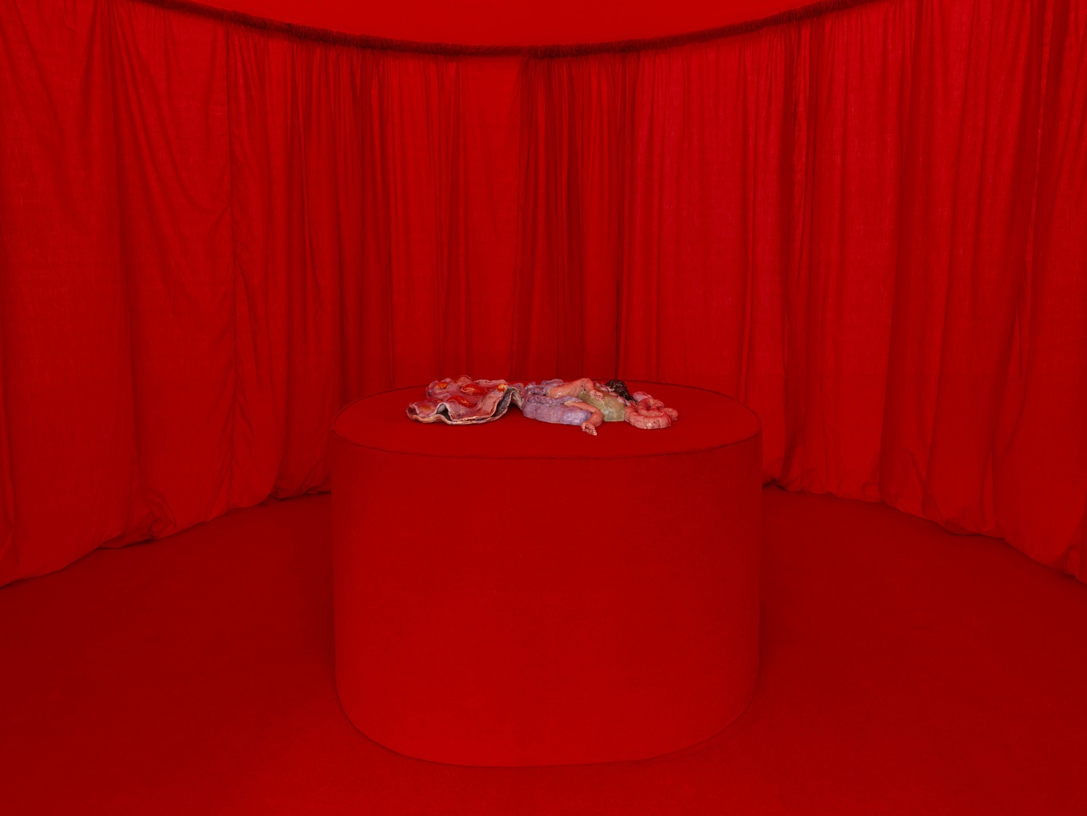 Lila de Magalhaes,&nbsp;Laps of Chrysalis,&nbsp;Matthew Brown, Los Angeles, 2024. Installation view., (Photo: Paul Salveson)