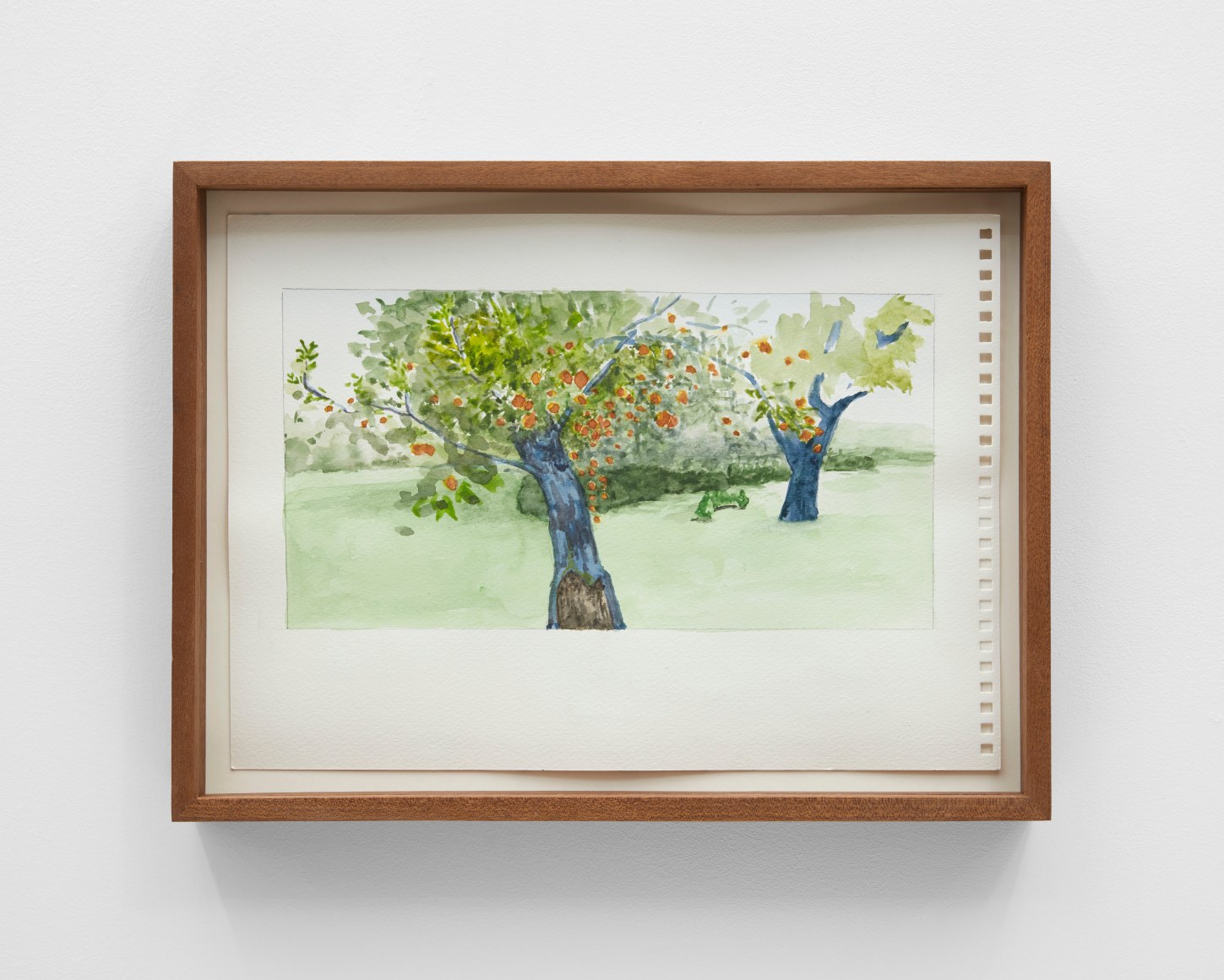Ben's apple trees, Sheffield, 2020, Watercolor on paper with artist frames