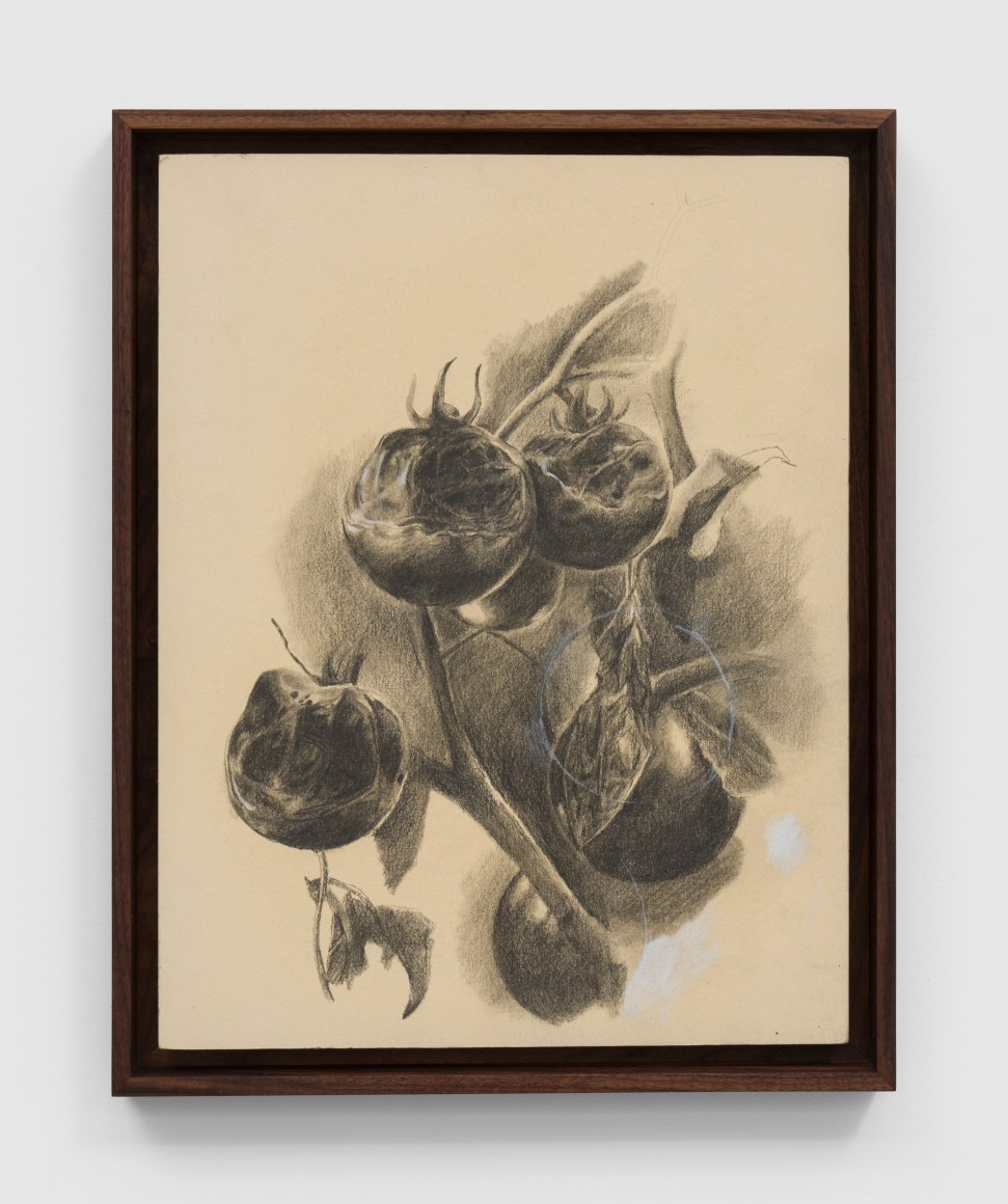 Brandon Ndife Tomato Blight, 2022