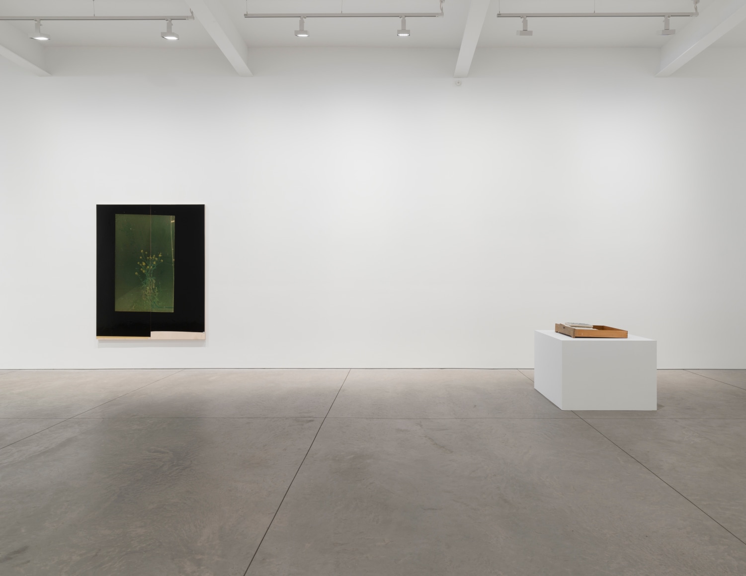 Compression, Matthew Brown, New York, 2025. Installation View.