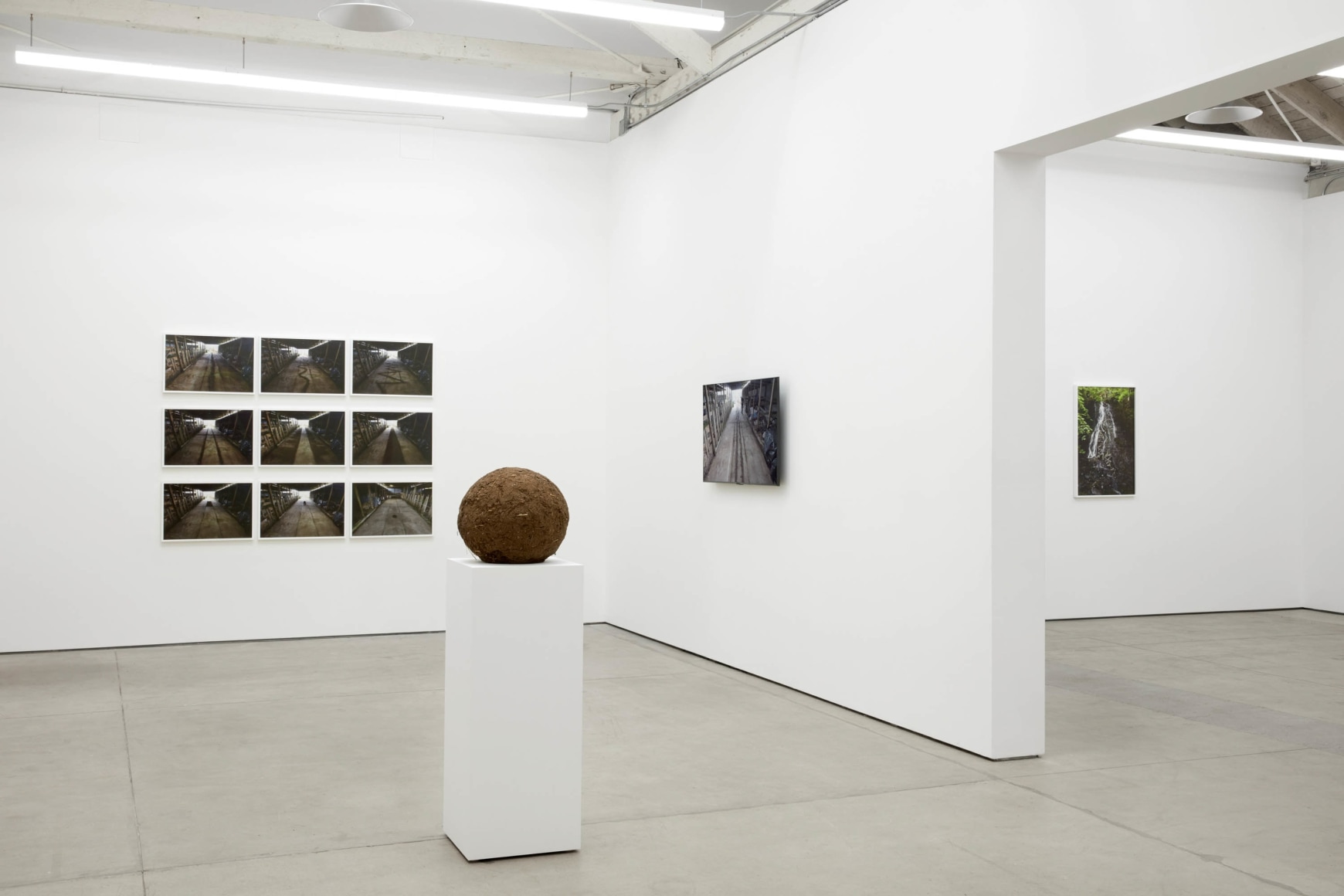 Andy Goldsworthy, Recent Works 2020, 2020