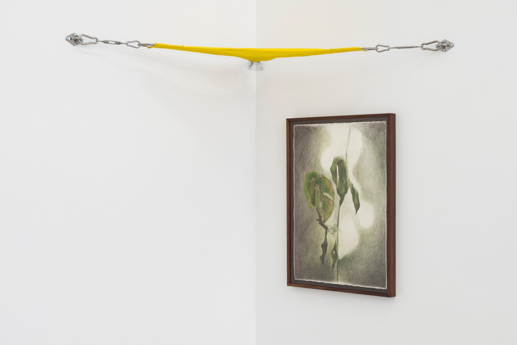 Brandon Ndife, What's the sun to a raisin, 2022., Installation view