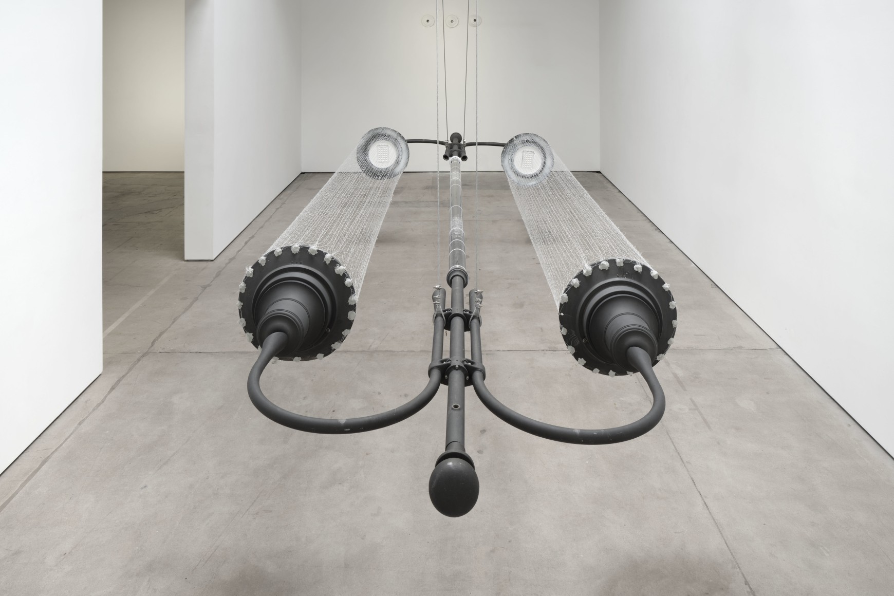 Jack O'Brien, Nectar, Matthew Brown, Los Angeles, 2024. Installation View., (Photo: Paul Salveson)