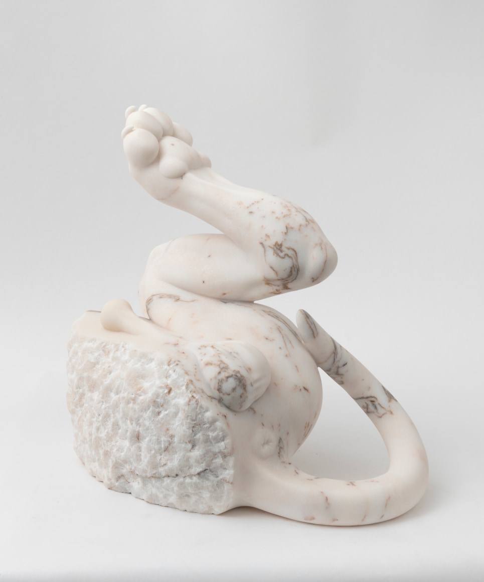 Fin Simonetti, My Volition 1, 2021
