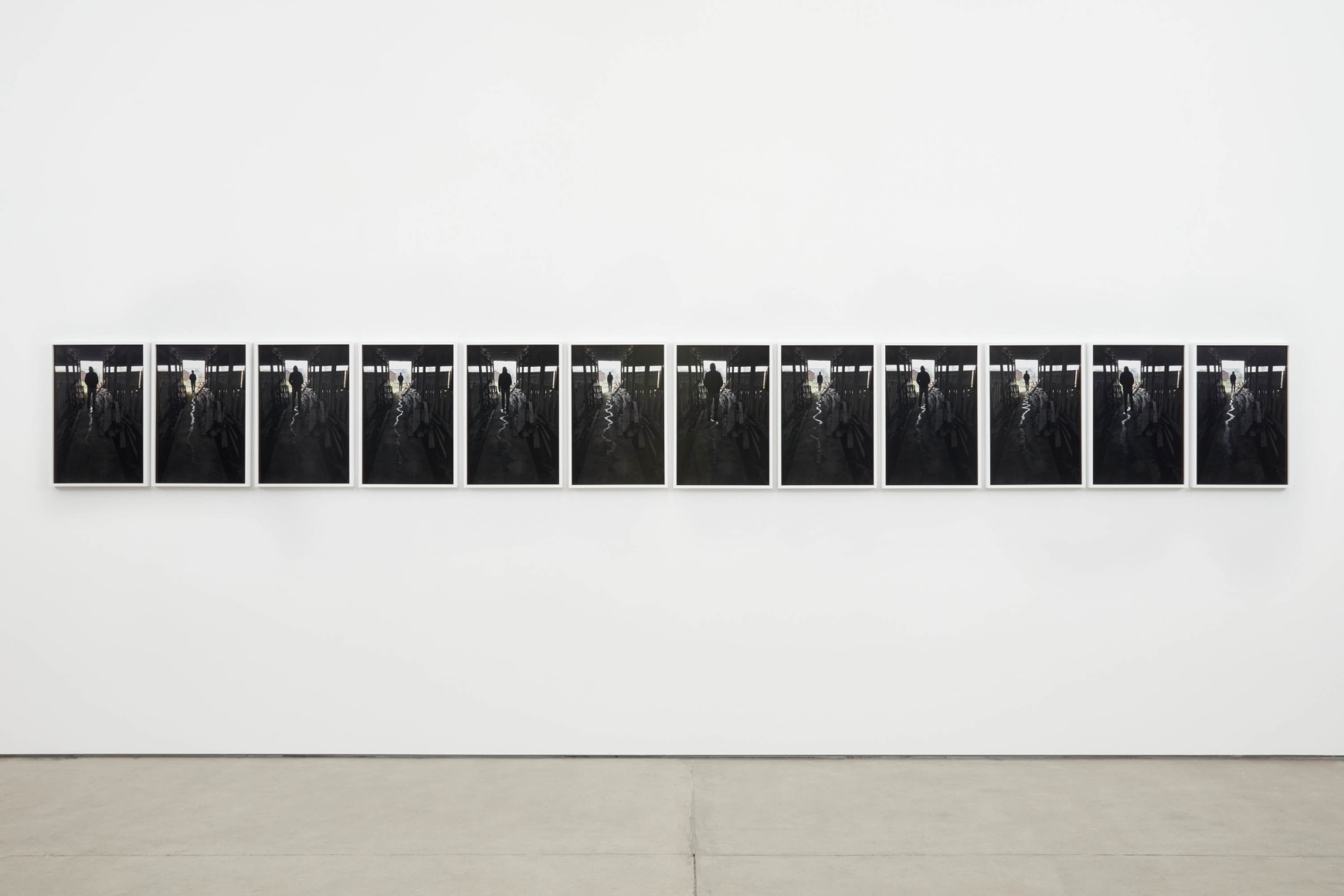 Andy Goldsworthy, Recent Works 2020, 2020