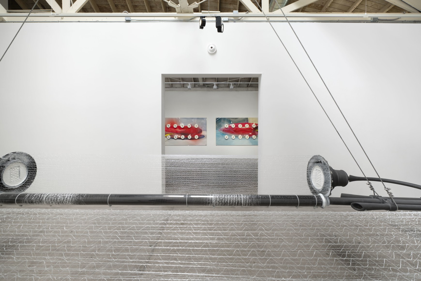 Jack O'Brien, Nectar, Matthew Brown, Los Angeles, 2024. Installation View., (Photo: Paul Salveson)