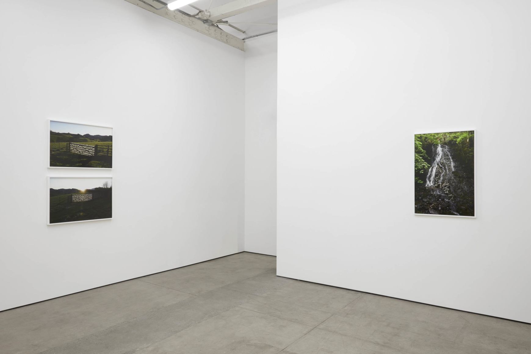 Andy Goldsworthy, Recent Works 2020, 2020