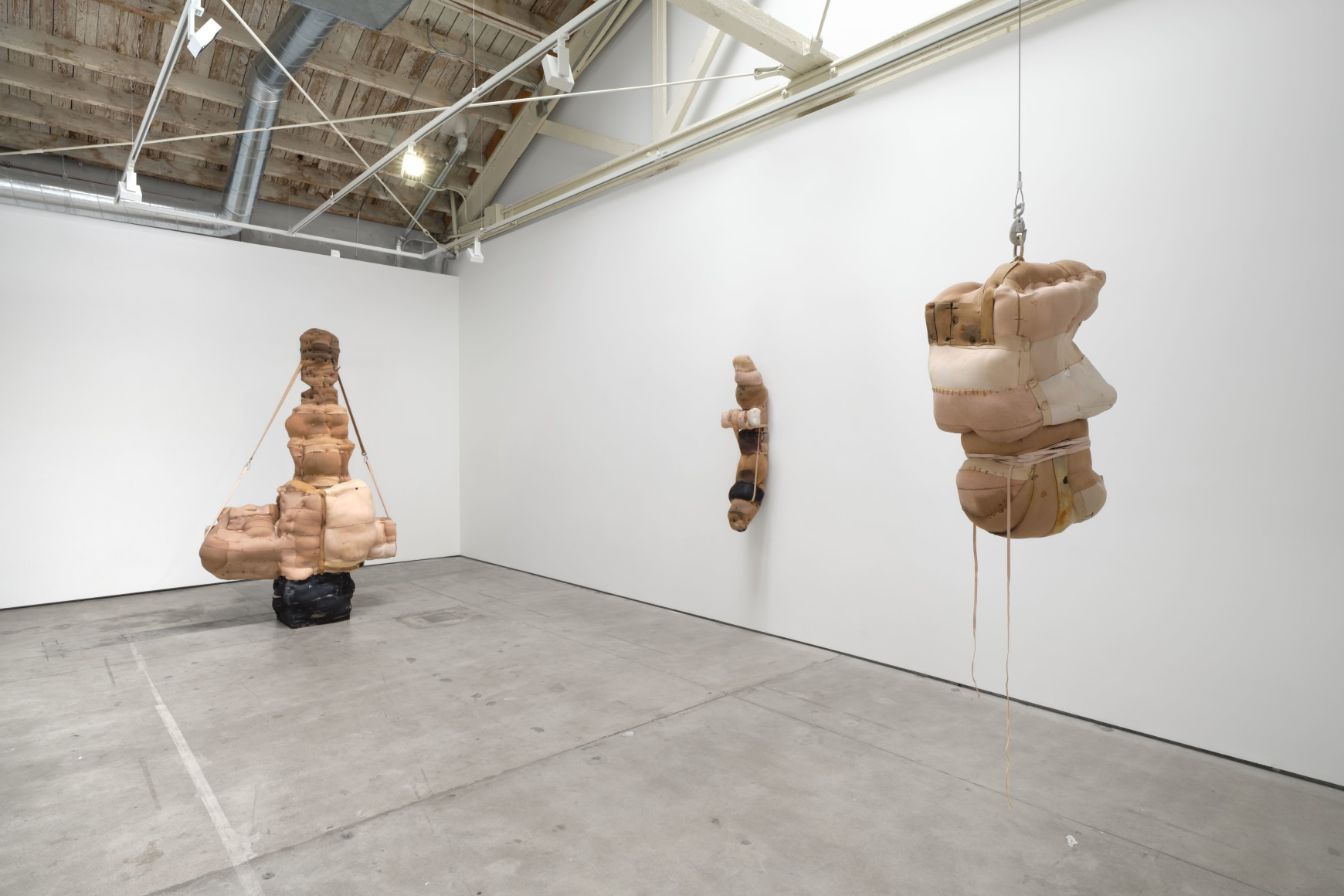 Patricia Ayres, Articles of the Estranged, Matthew Brown, Los Angeles, 2024. Installation view (photo: Paul Salveson). 