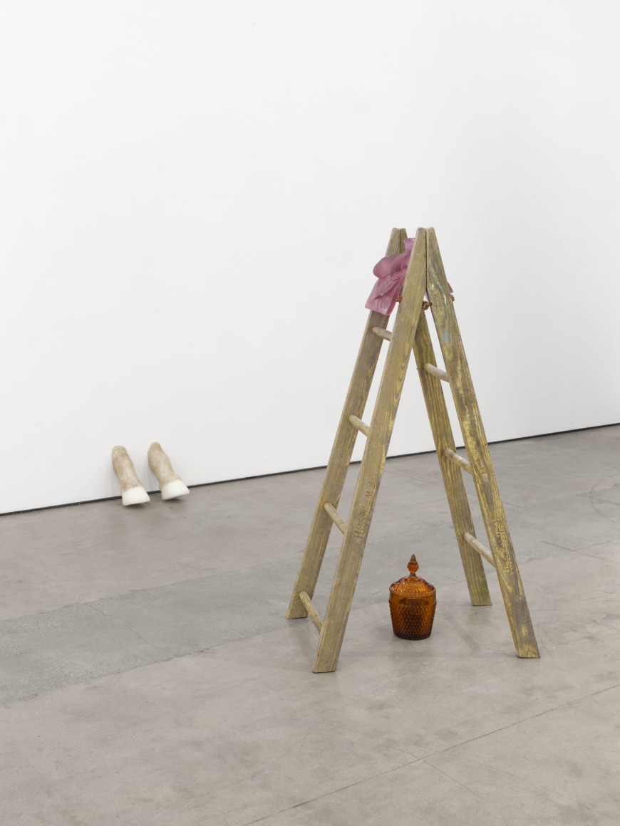 Sula Bermúdez-Silverman, Ichthyocentaur, Matthew Brown, Los Angeles, 2023. Installation view.