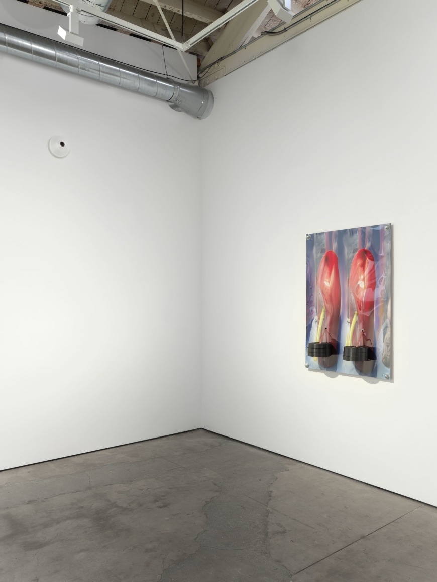 Jack O'Brien, Nectar, Matthew Brown, Los Angeles, 2024. Installation View., (Photo: Paul Salveson)